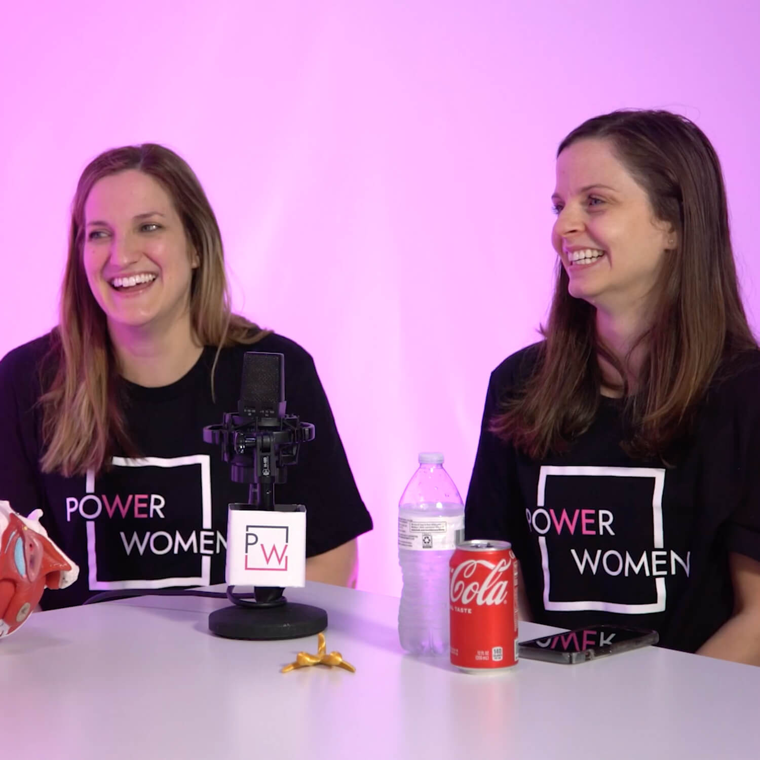 PowerWomen: Conversations with Powerful Women about moving the Pendulum!