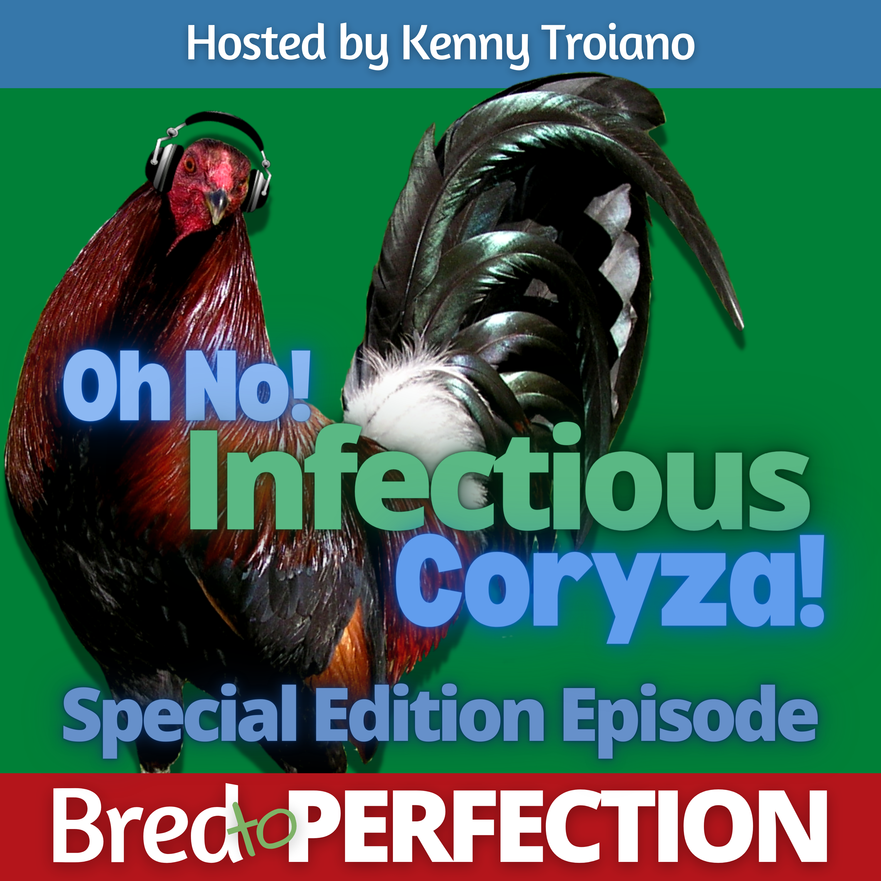 Ep154 - Infectious Coryza with Dr. Rodrigo Gallardo