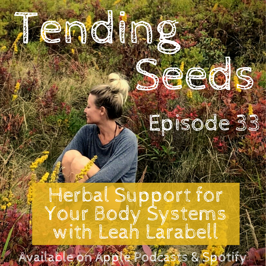 Tending Seeds: Adventures in Gardening, Homesteading, and Herbalism