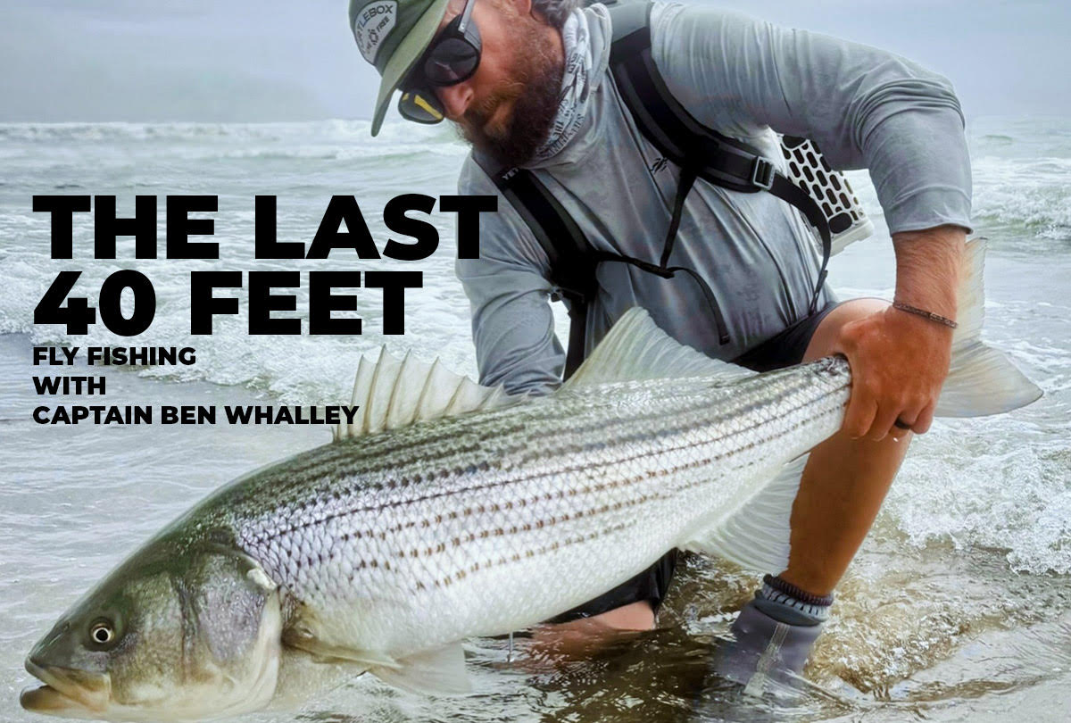 The Last 40 Feet: Capt. Ben Whalley on Fly Design, Presentation, and Problem Solving