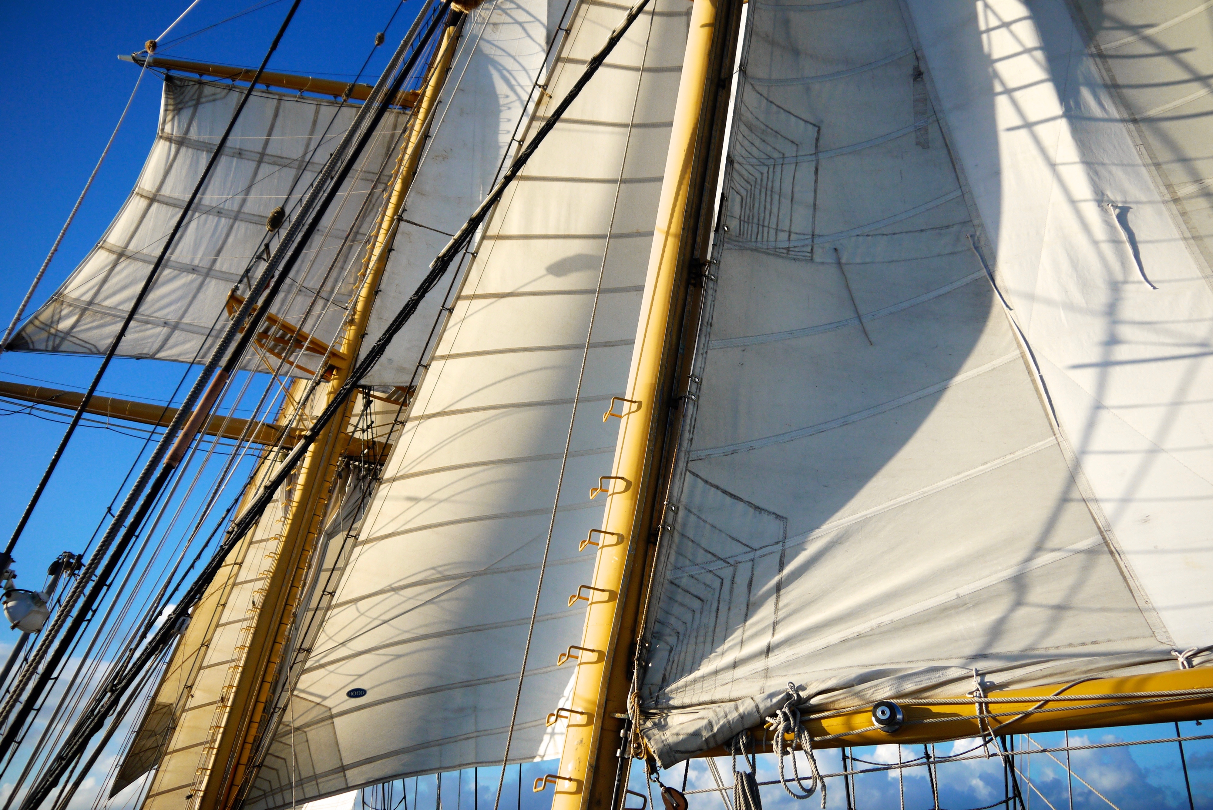 Sailing the Sargasso Sea