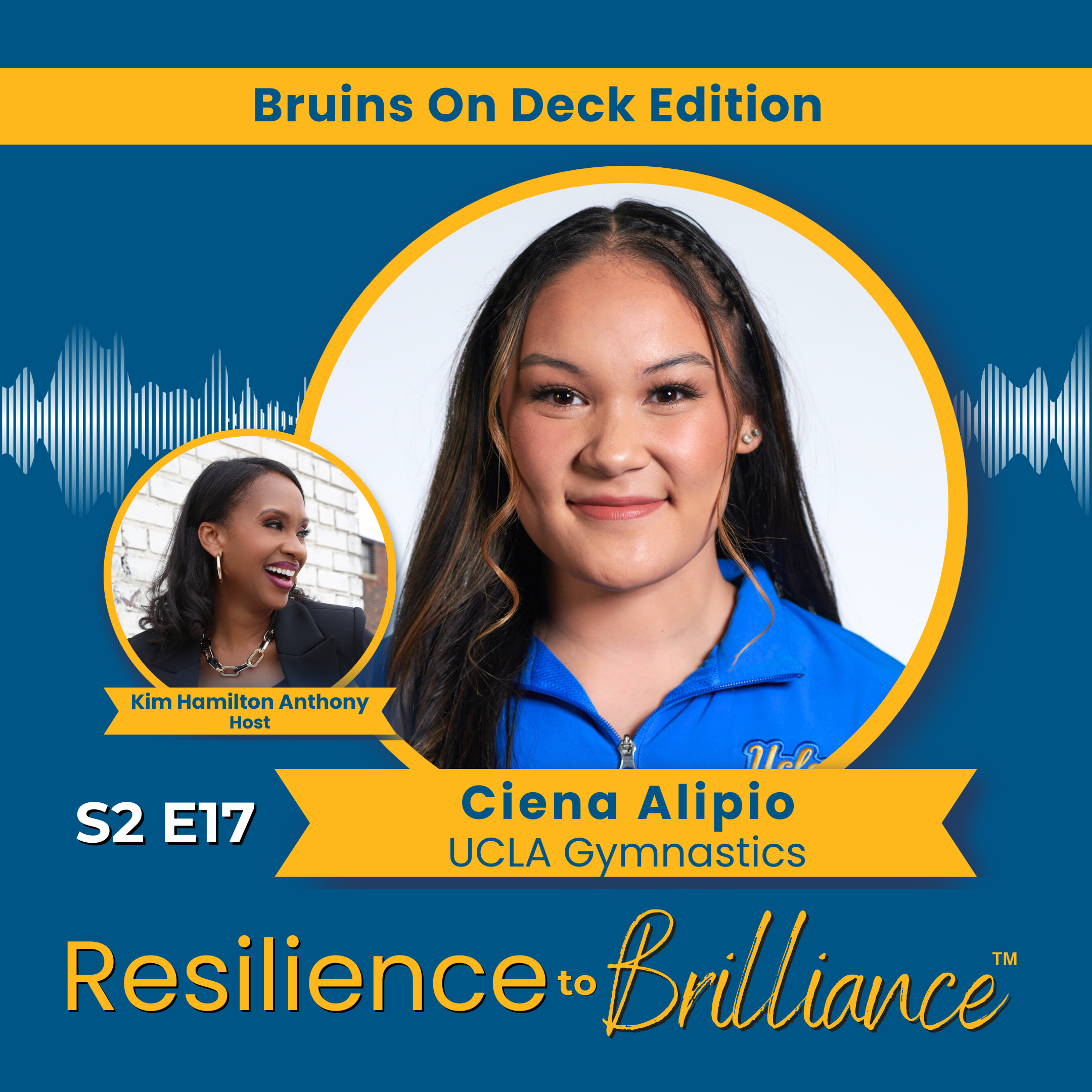 Resilience to Brilliance