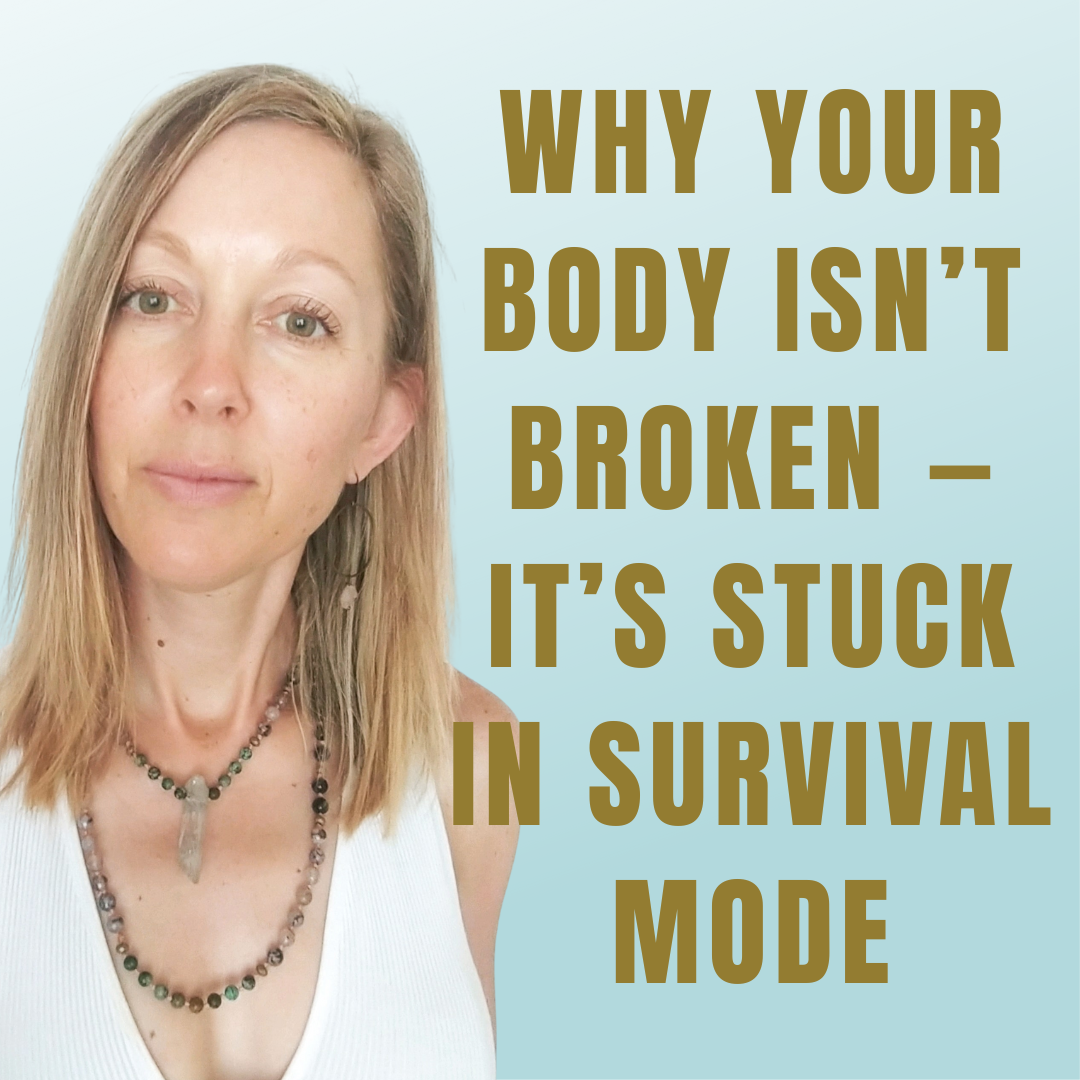 The Health Bridge Podcast with Holly B.