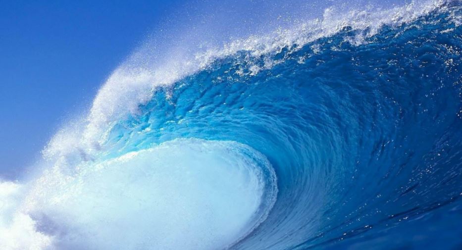Voices of the Blue Wave - Zola