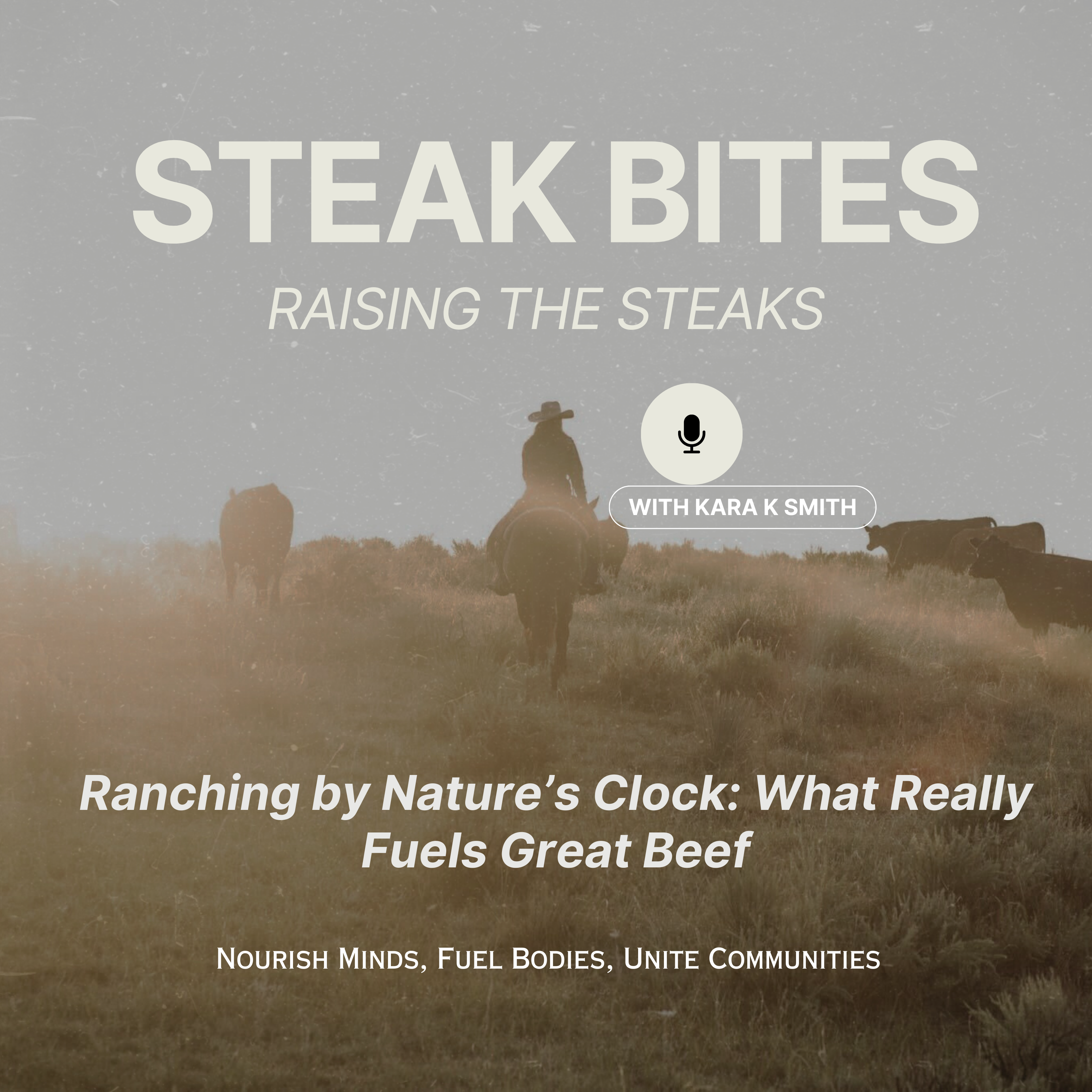 Steak Bites