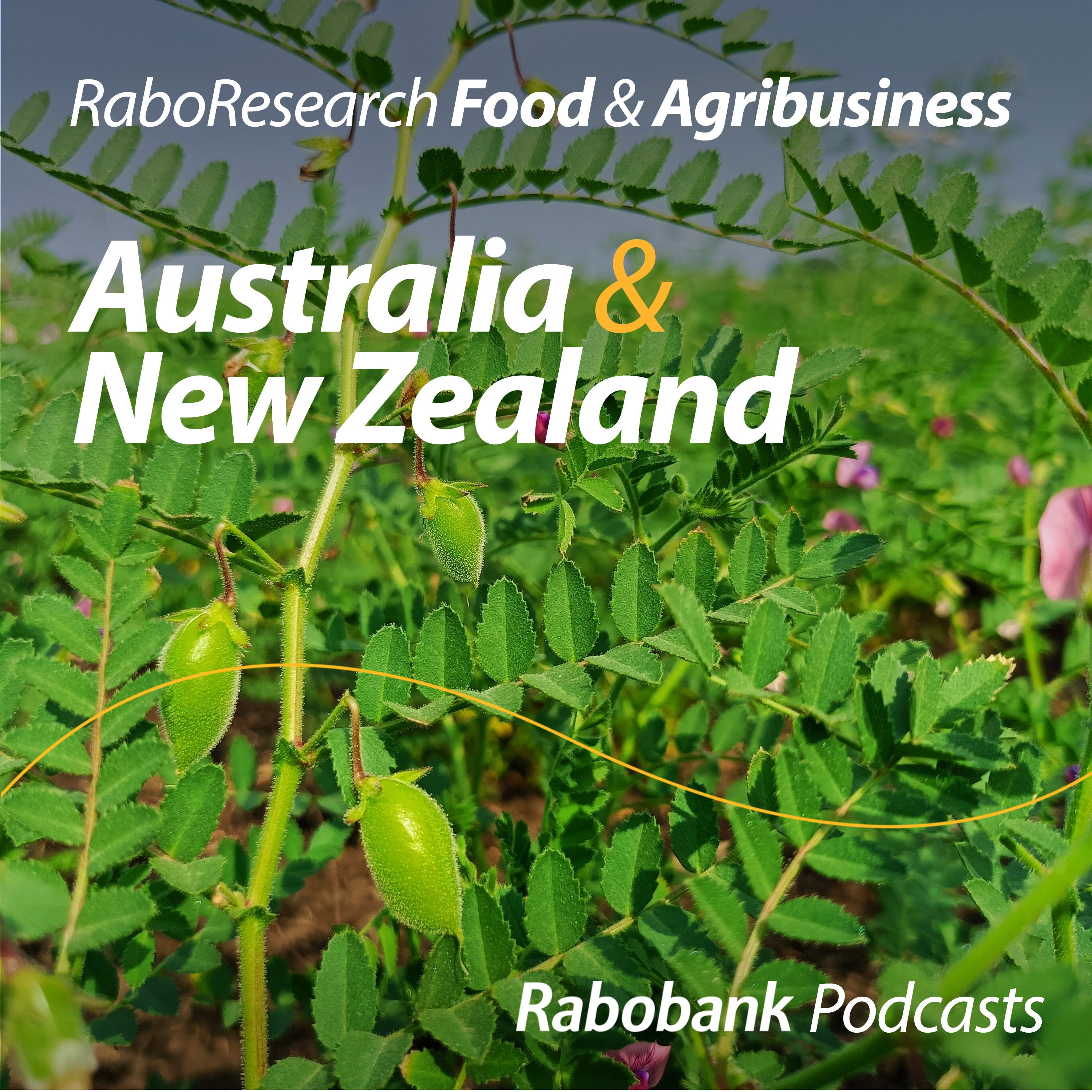 Global pulse outlook: Navigating the shifting pulse market