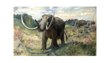 Mastodon Lunch