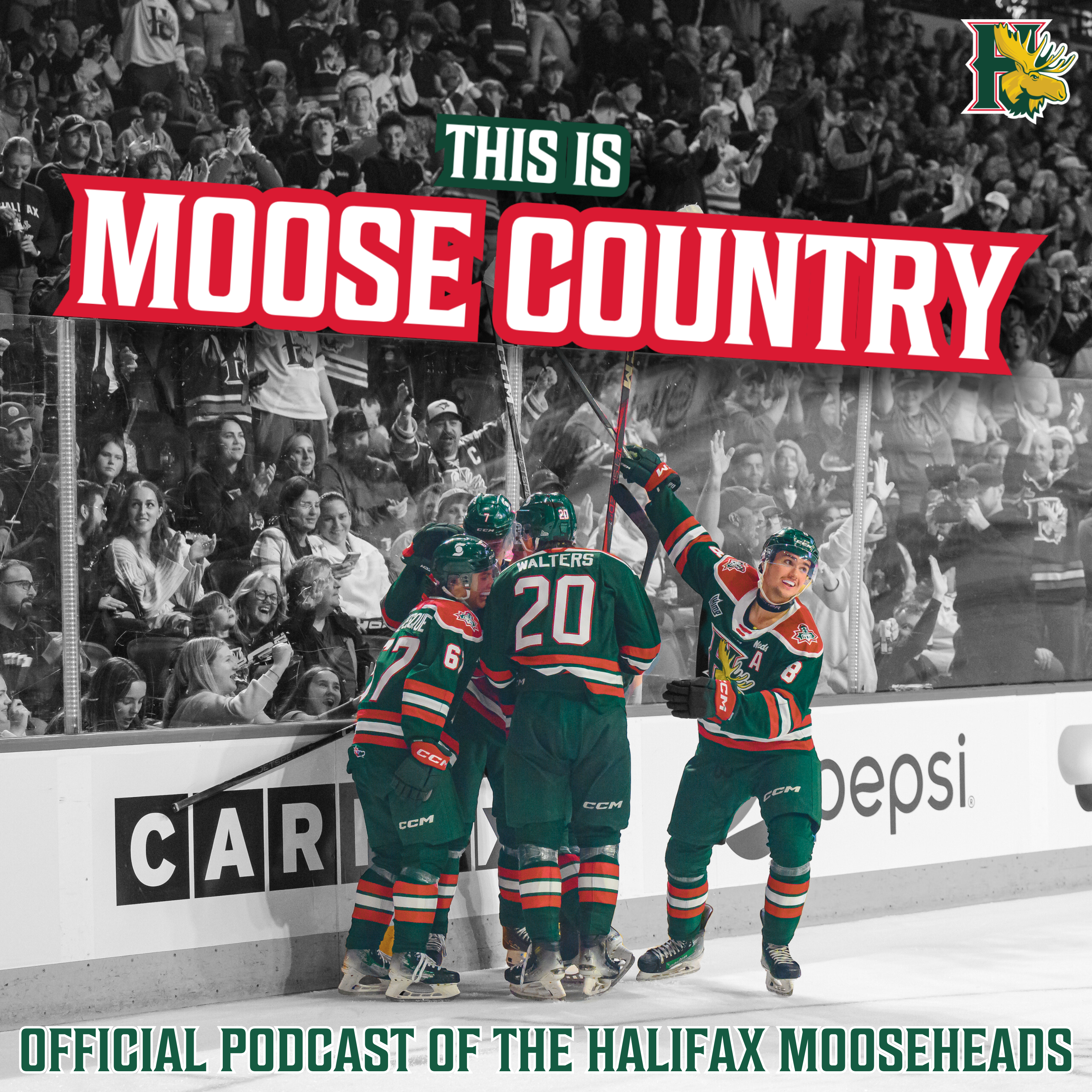 This is Moose Country