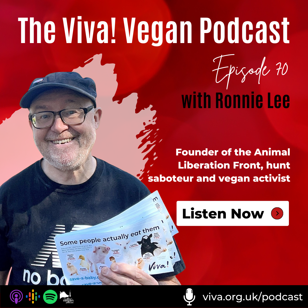 Viva! Vegan Podcast