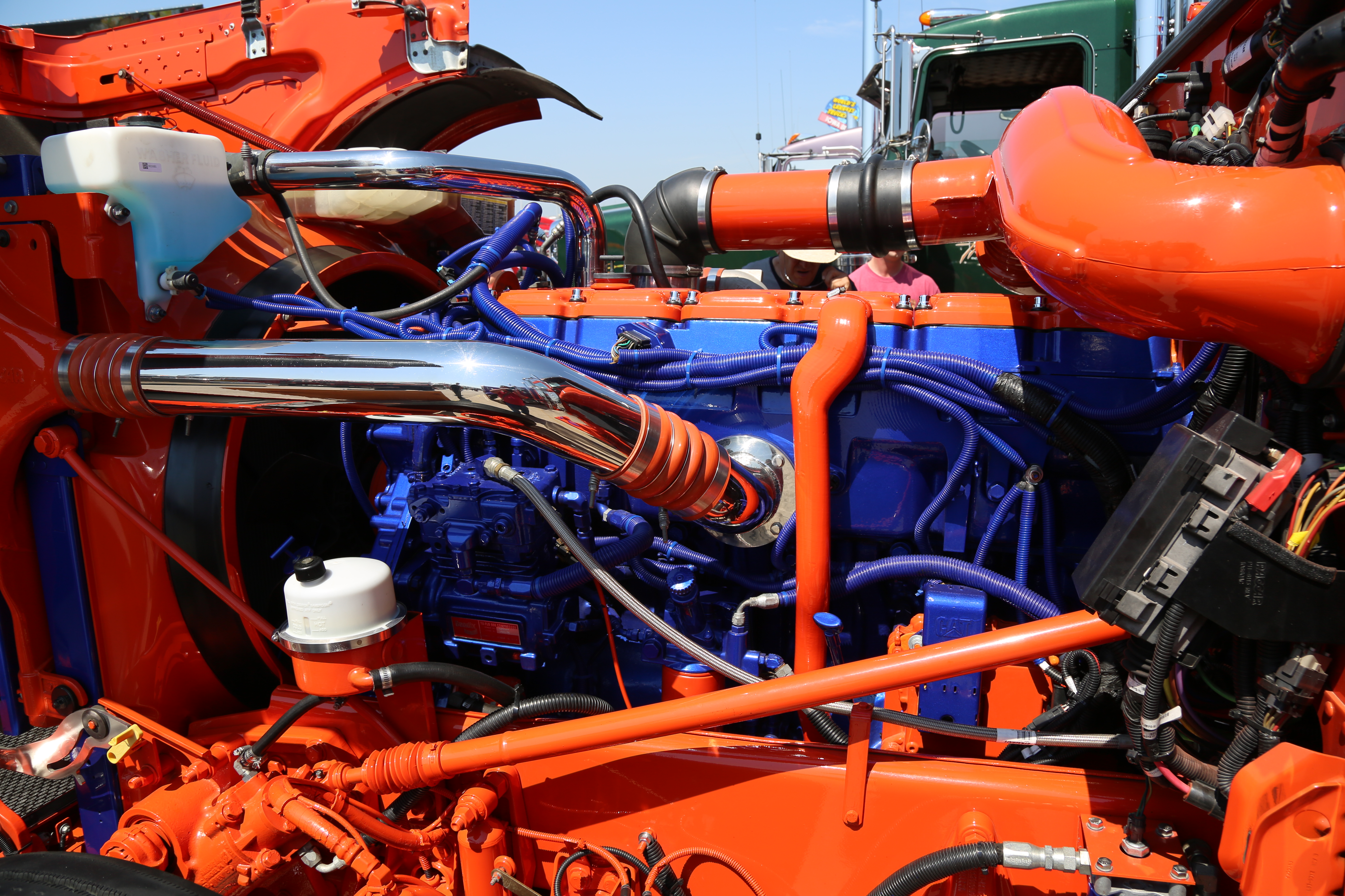 TWK Trucking with kingfish