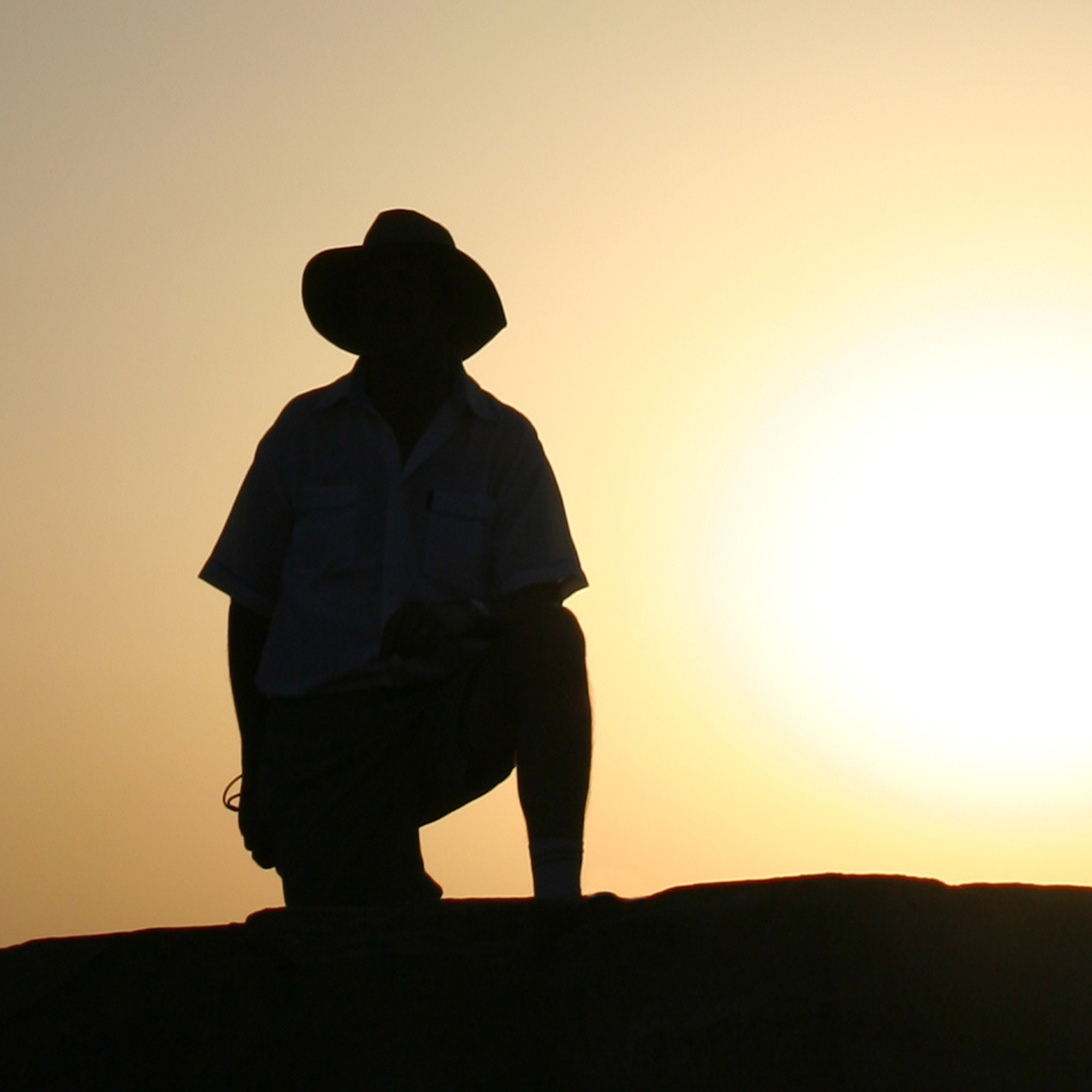 #31 - Raiders of the Lost Ark (1981)