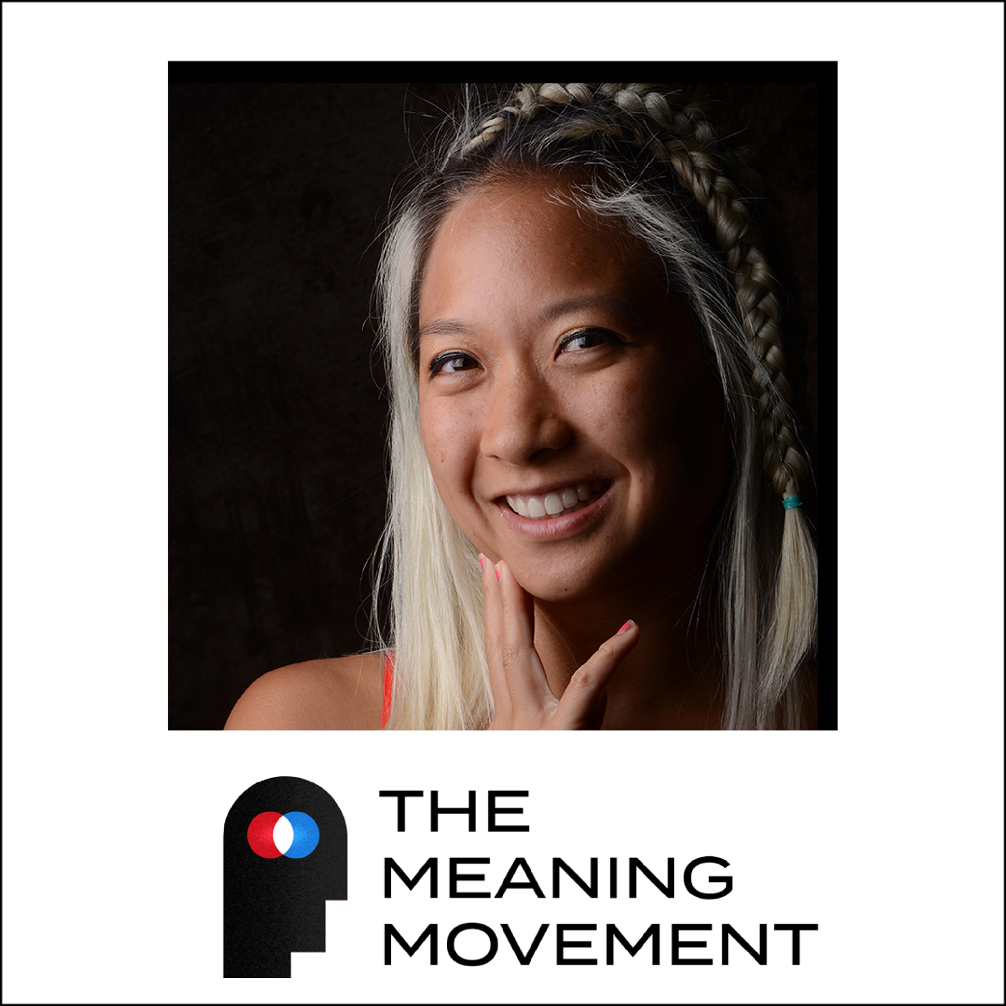 The Meaning Movement: Rediscover your Passion, Avoid Burnout, and Do Work You Love.