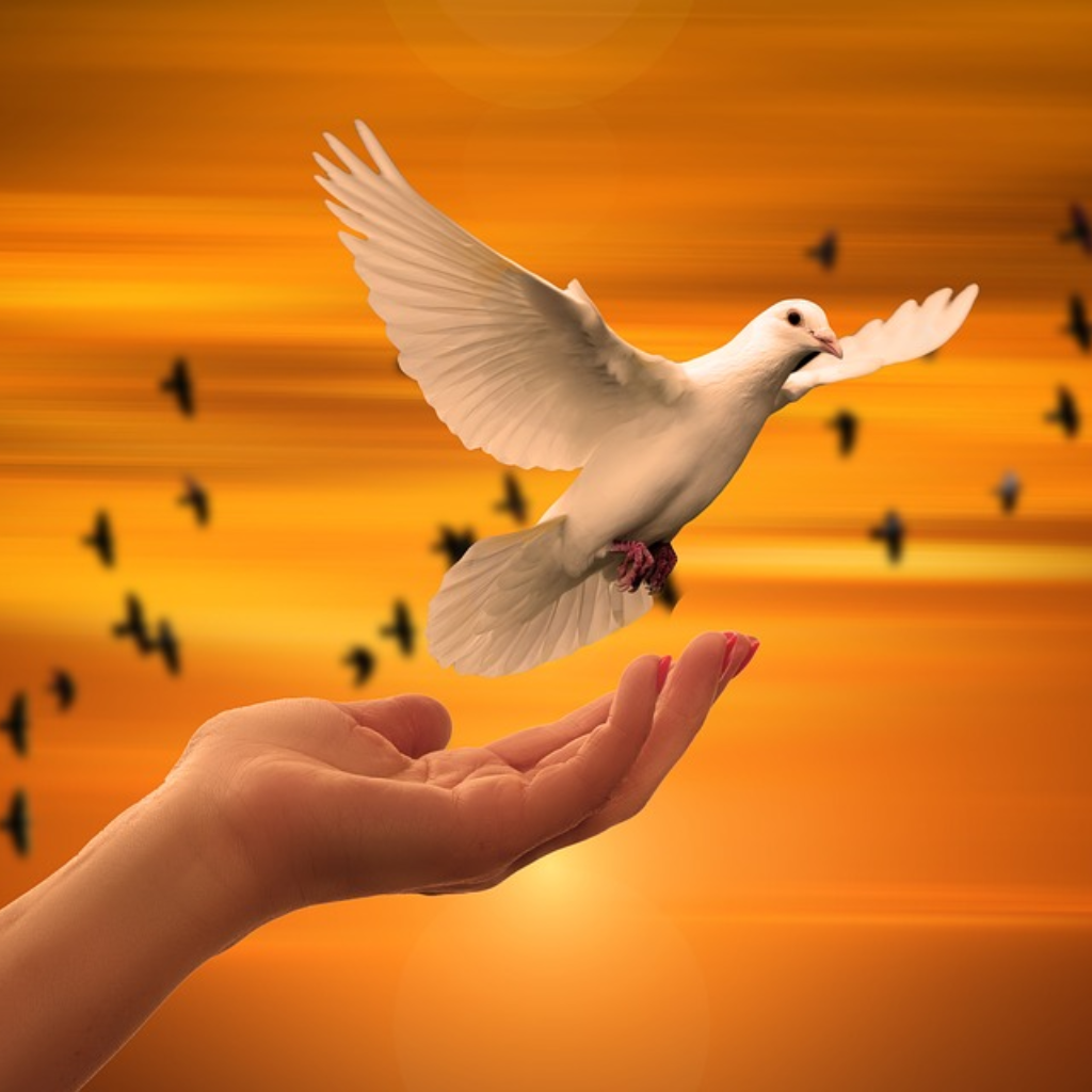 46. The 8 Stewardship Areas That Unearth Your Purpose - Part 1