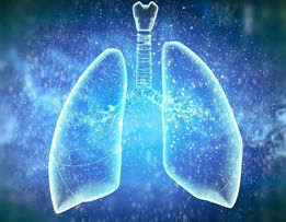 Dr. Lorn Allison Interviews As Expert for an Upcoming Breathing Book Release Dr. Lorn Allison Interviews As Expert for an Upcoming Breathing Book Release