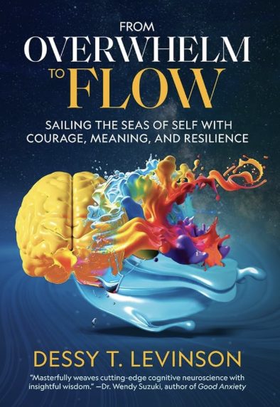 Dessy Levinson - From Overwhelm To Flow
