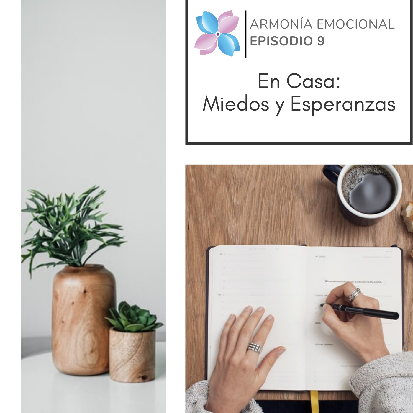 Armonia Emocional