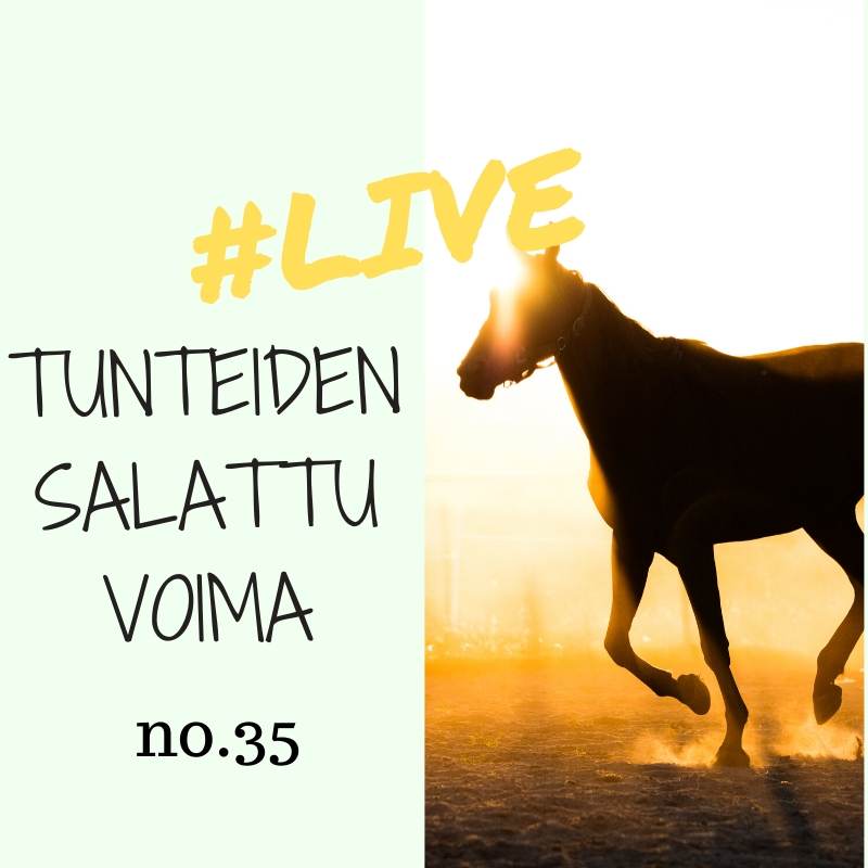 Valo Minussa