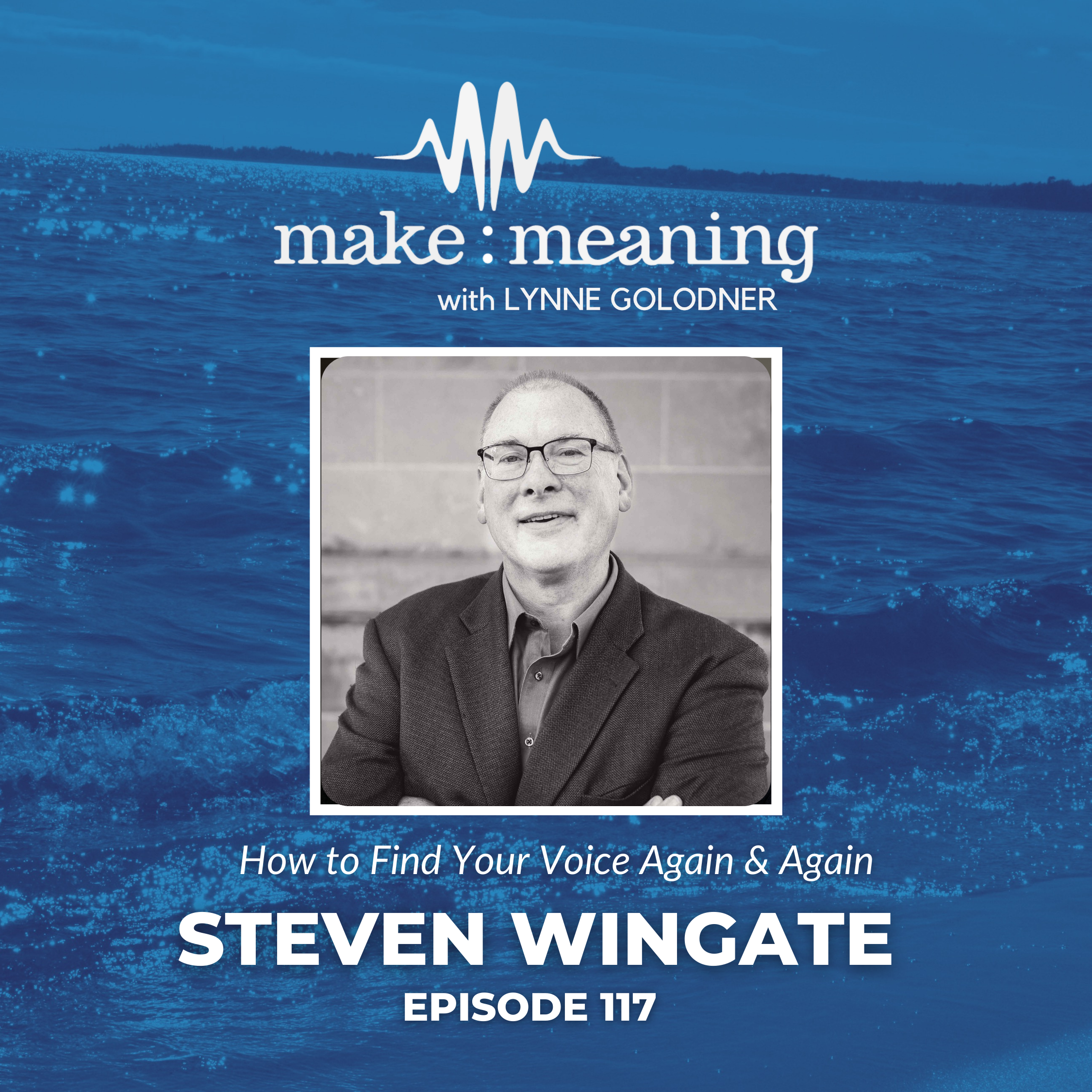 Episode 117 - Steven Wingate - How to find your voice again & again