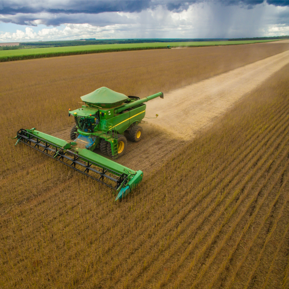RaboResearch Agri Commodities