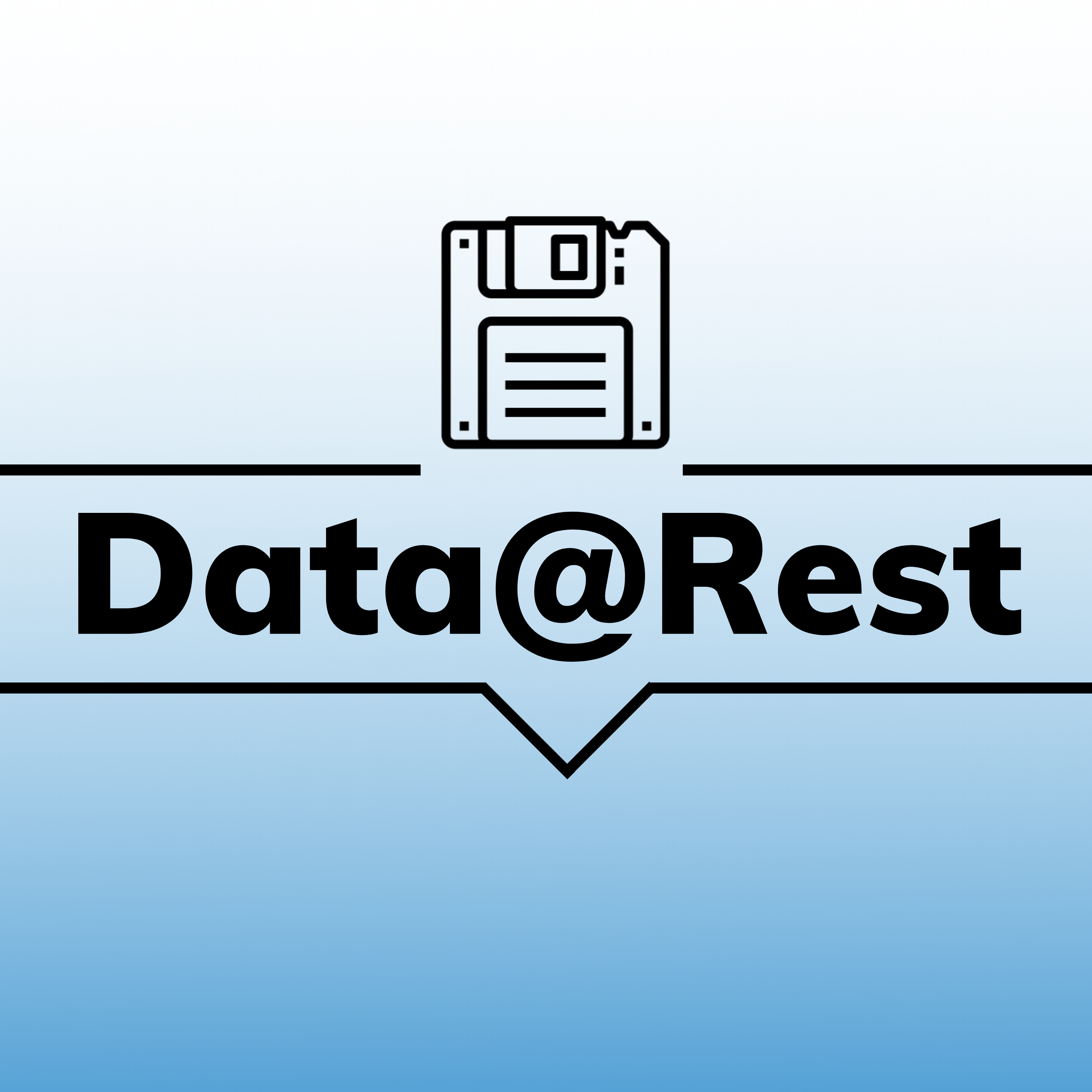 Data at Rest 01x08: Episode X