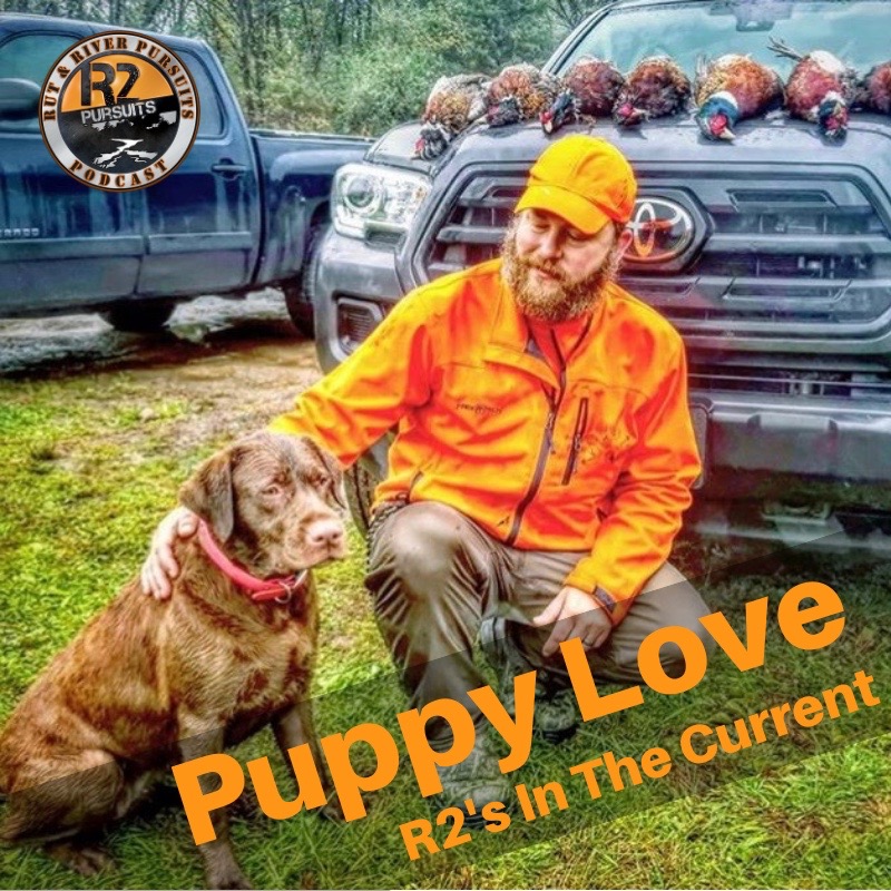 Puppy Love- R2's In The Current