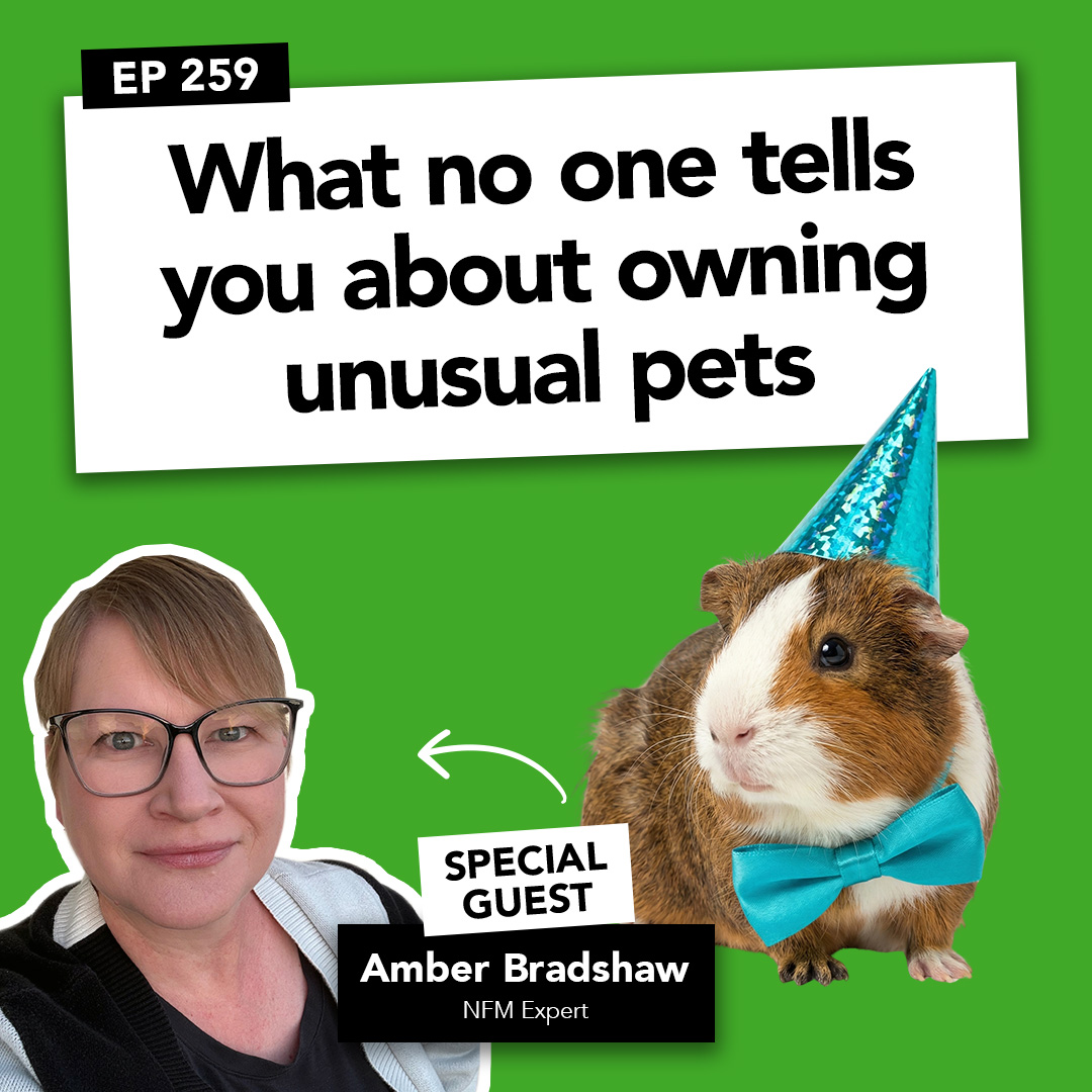 What no one tells you about owning unusual pets