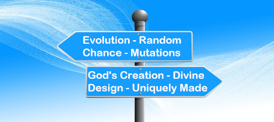 Do Christians Need Evolution?