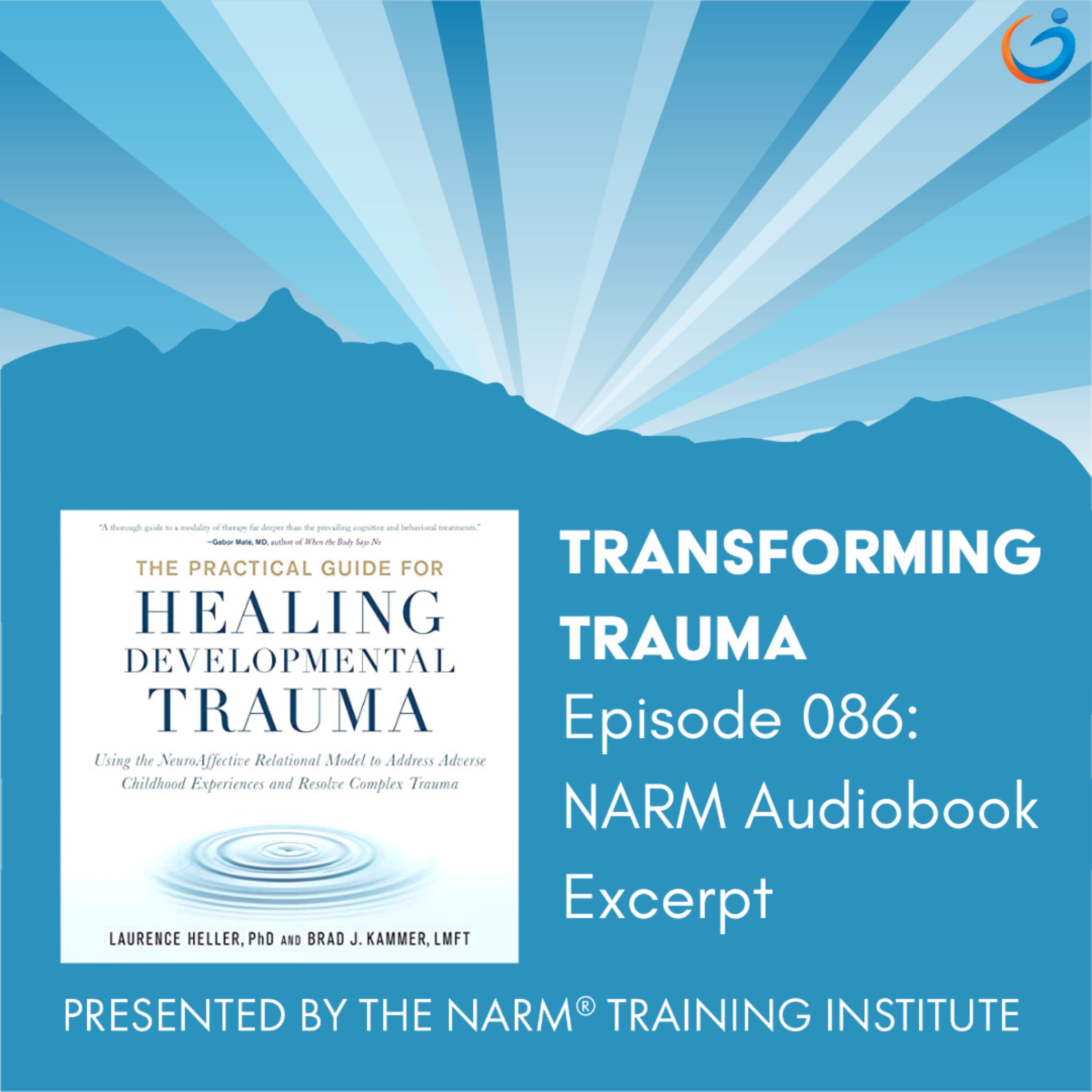 BONUS: Sneak Peek of the NARM Audiobook - The Practical Guide for Healing Developmental Trauma, with co-author Brad Kammer