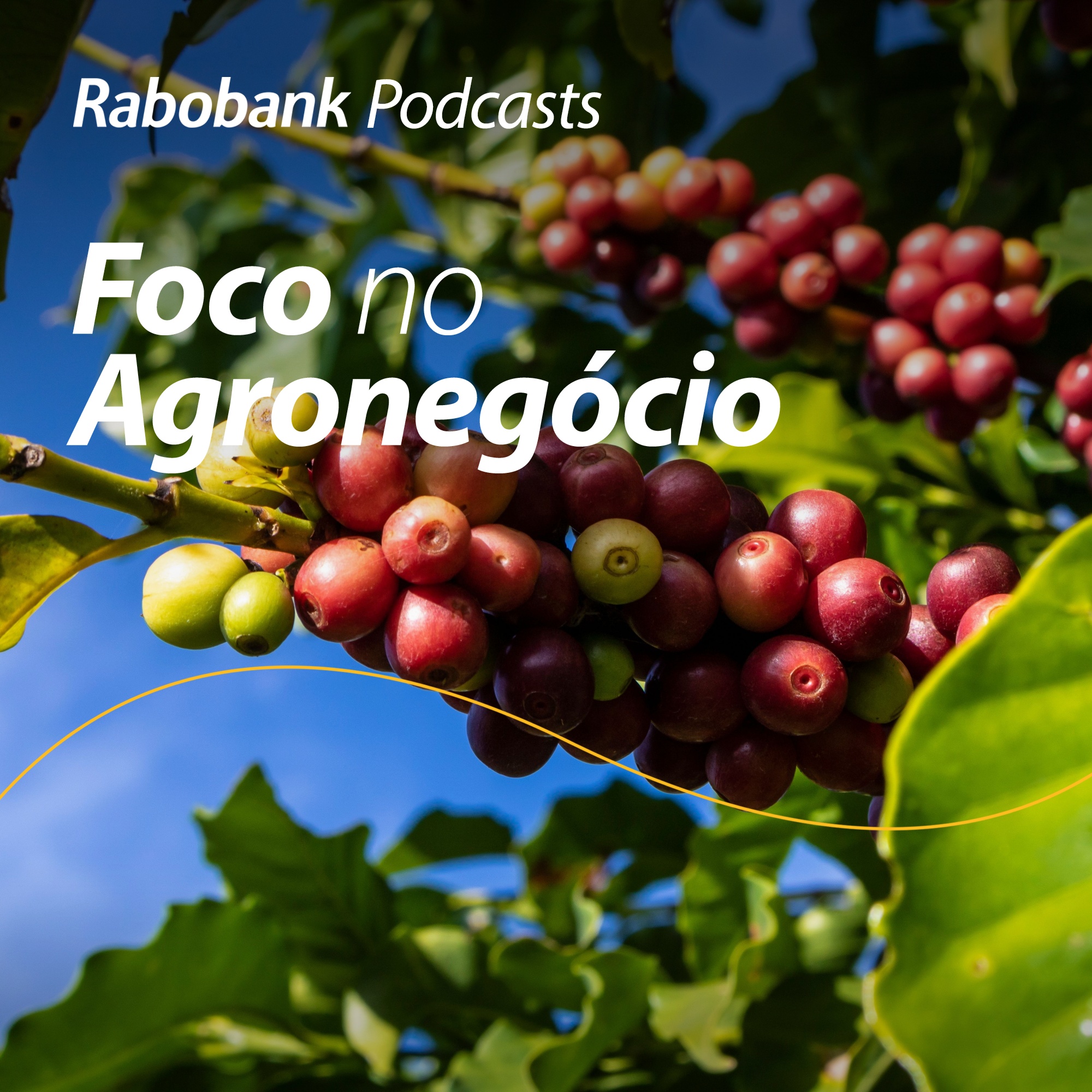 Foco no Agronegócio - Pesquisa Setorial