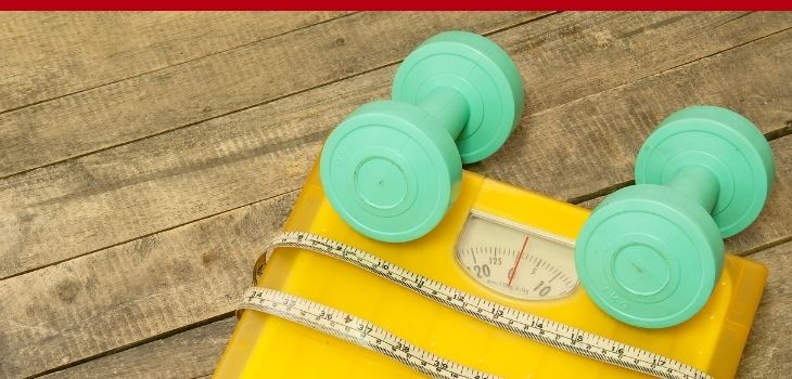 The New Science Of Fat Loss with Dr. Stephan Guyenet