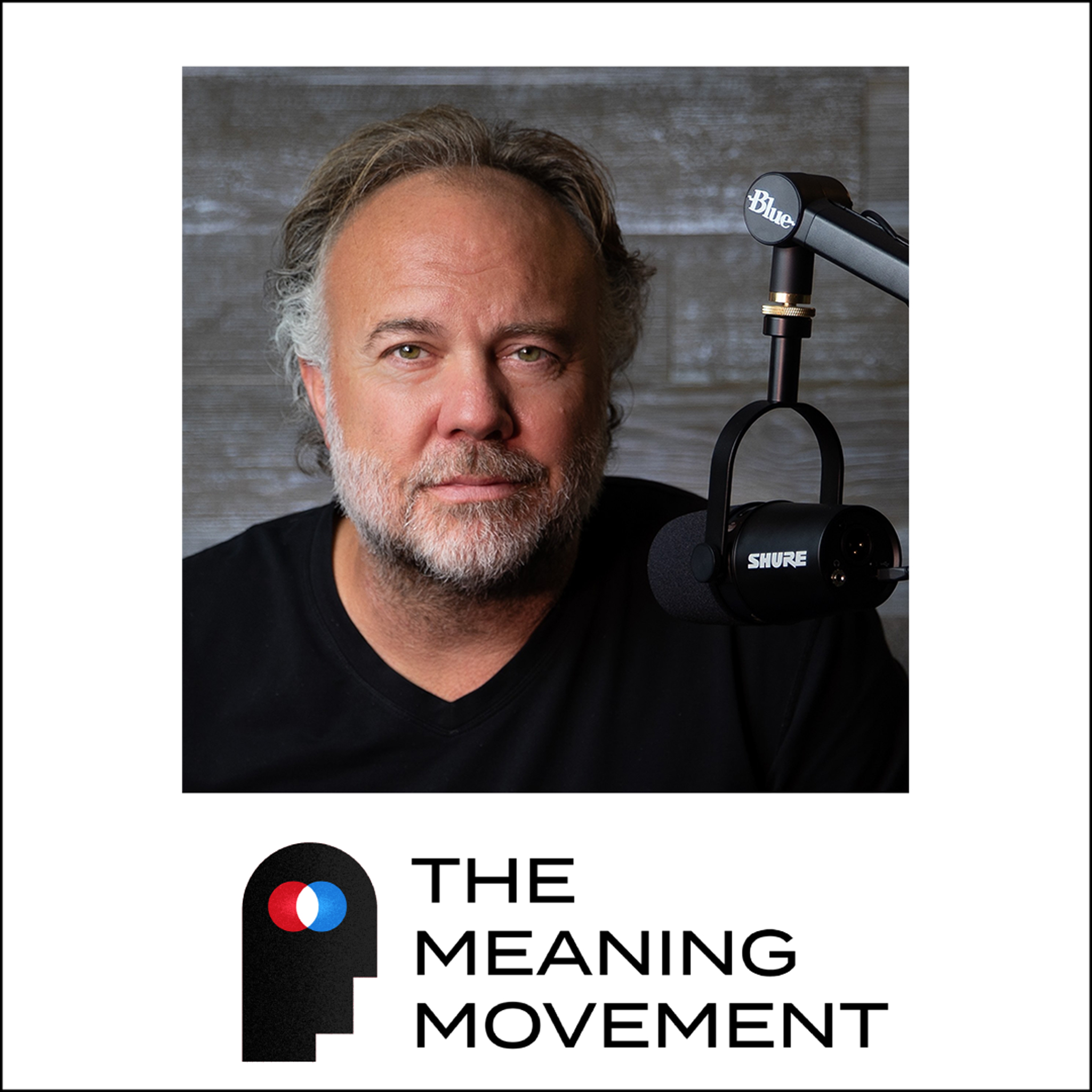 The Meaning Movement: Rediscover your Passion, Avoid Burnout, and Do Work You Love.