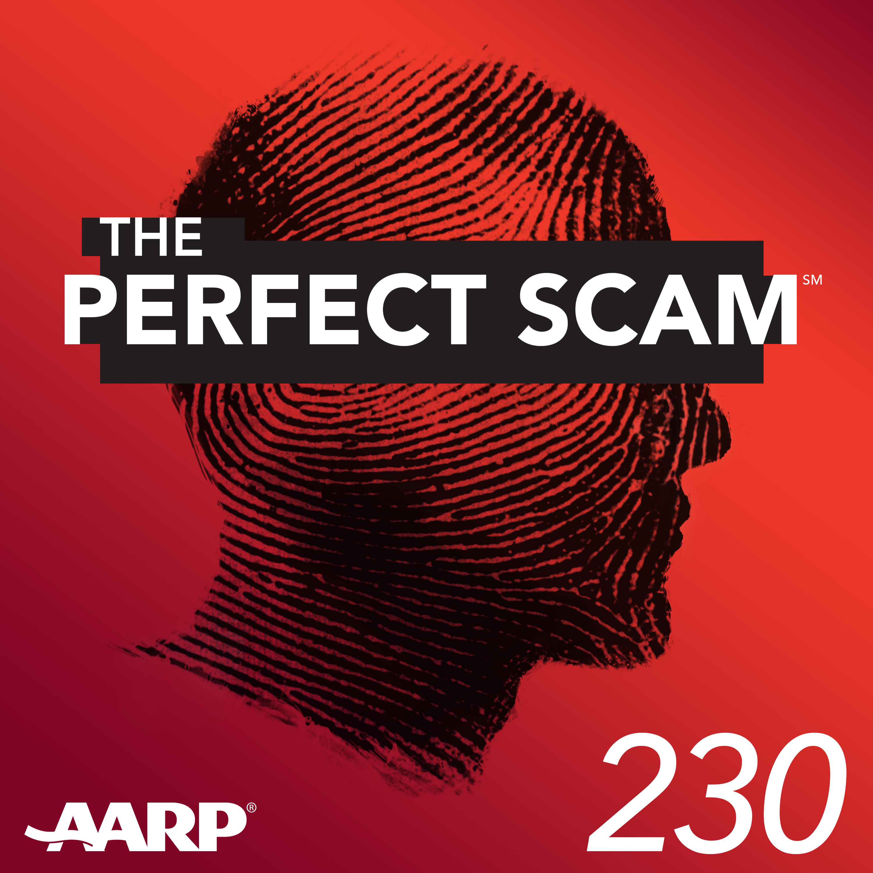 Tech Startup Defrauds Investors