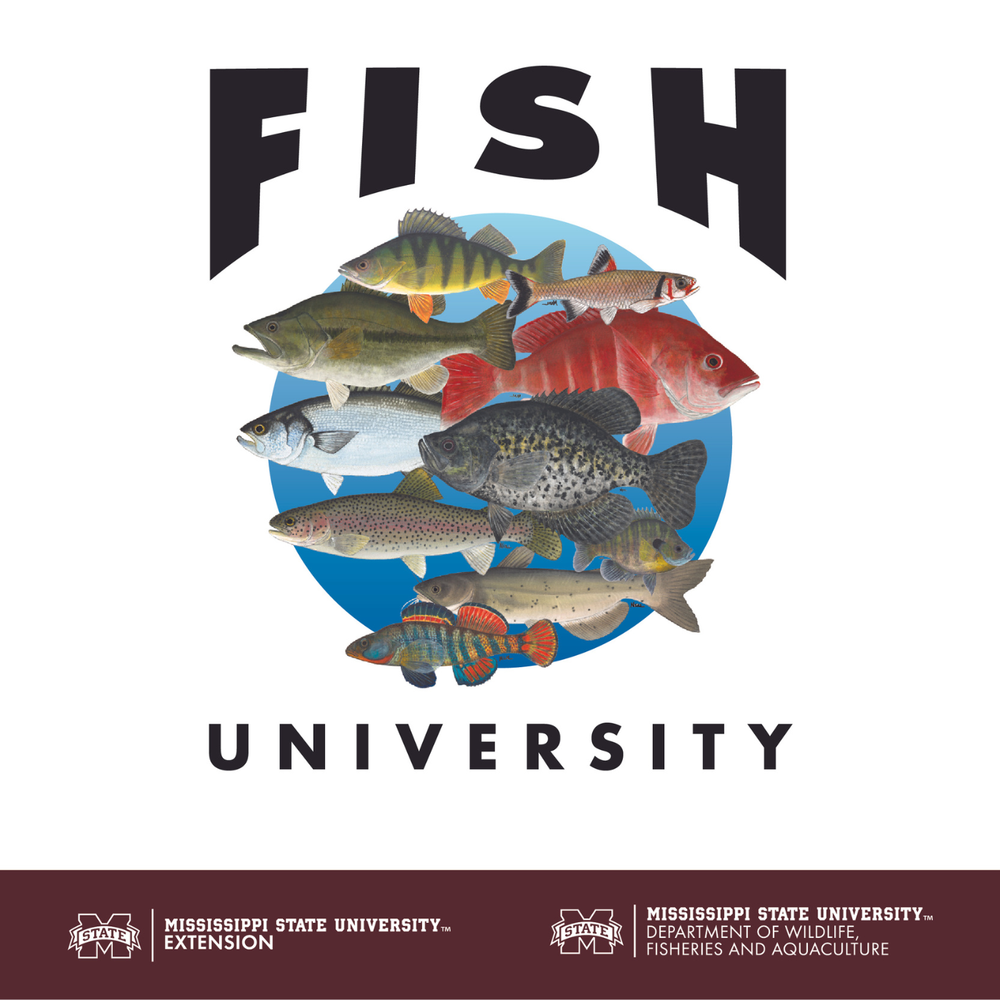 Return to the Little Red River | Fish University #470