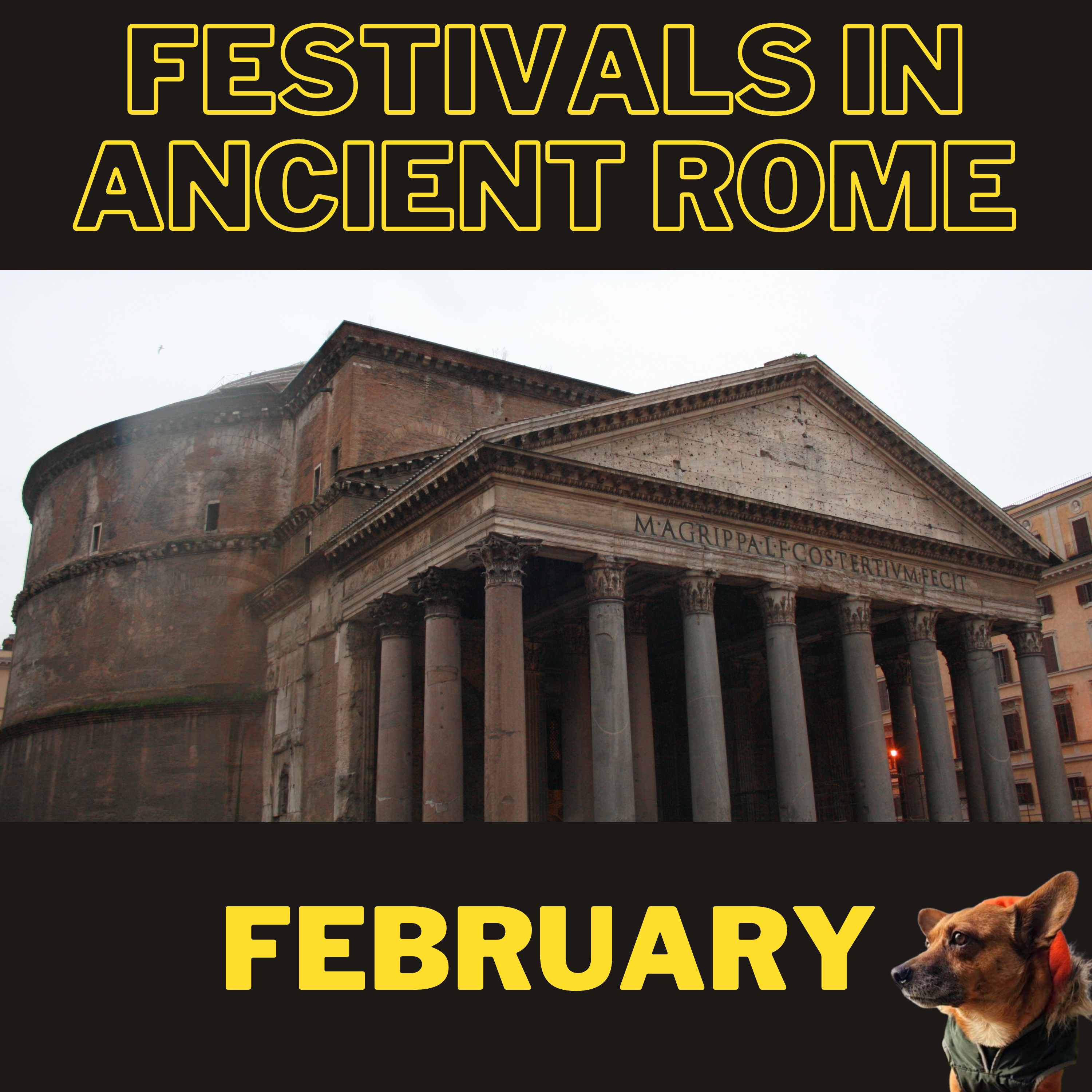 Ancient History Hound