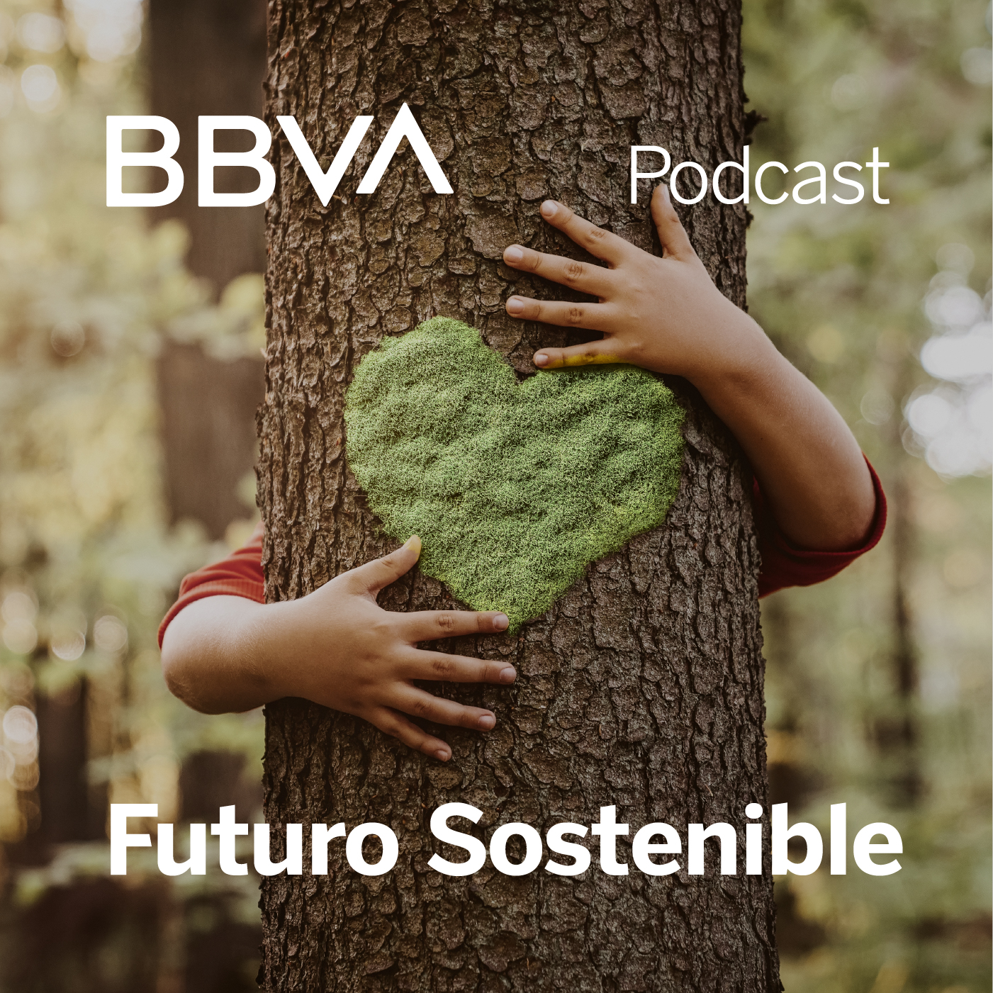 ¿Cómo elegir el sistema de climatización que mejor se adapte a una vivienda?