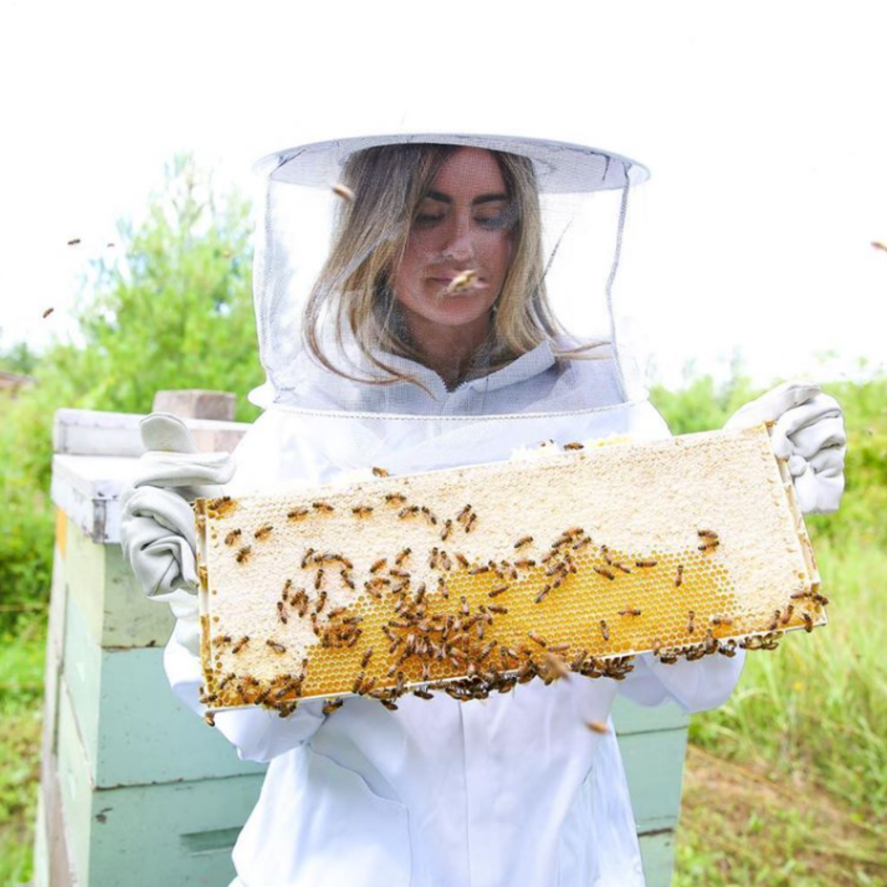 EFR 264: Uncovering Ancient Health Benefits from the World of Bees with Carly Stein