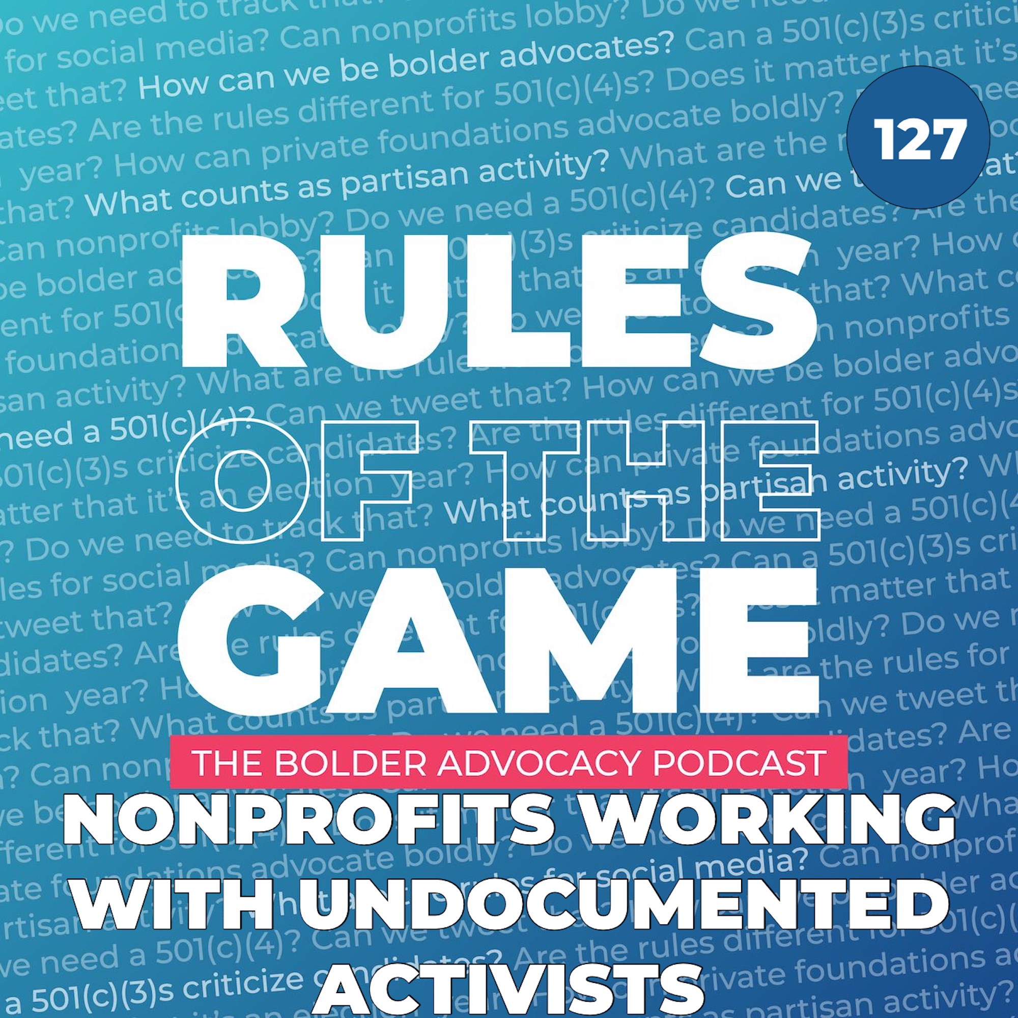 Nonprofits Working with Undocumented Activists