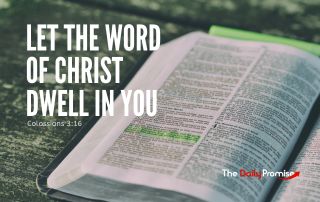 The Daily Promise