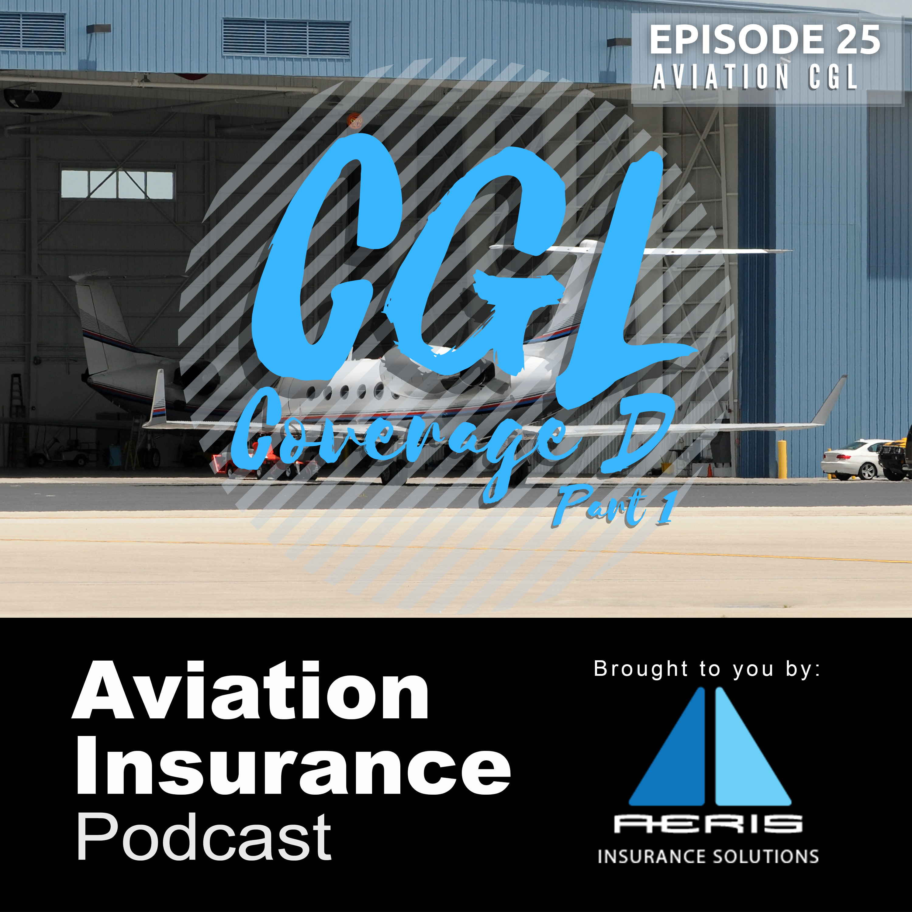 Episode 25: Aviation Commercial General Liability - Coverage D Pt.1