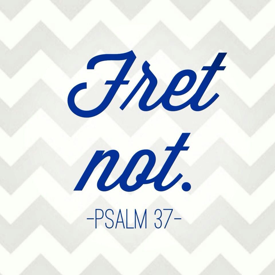 A Word For The Taliban and What is Happening in Afghanistan