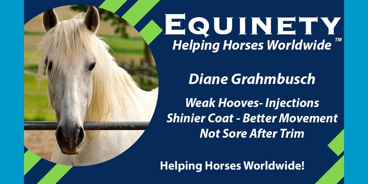 Team Equinety Podcast