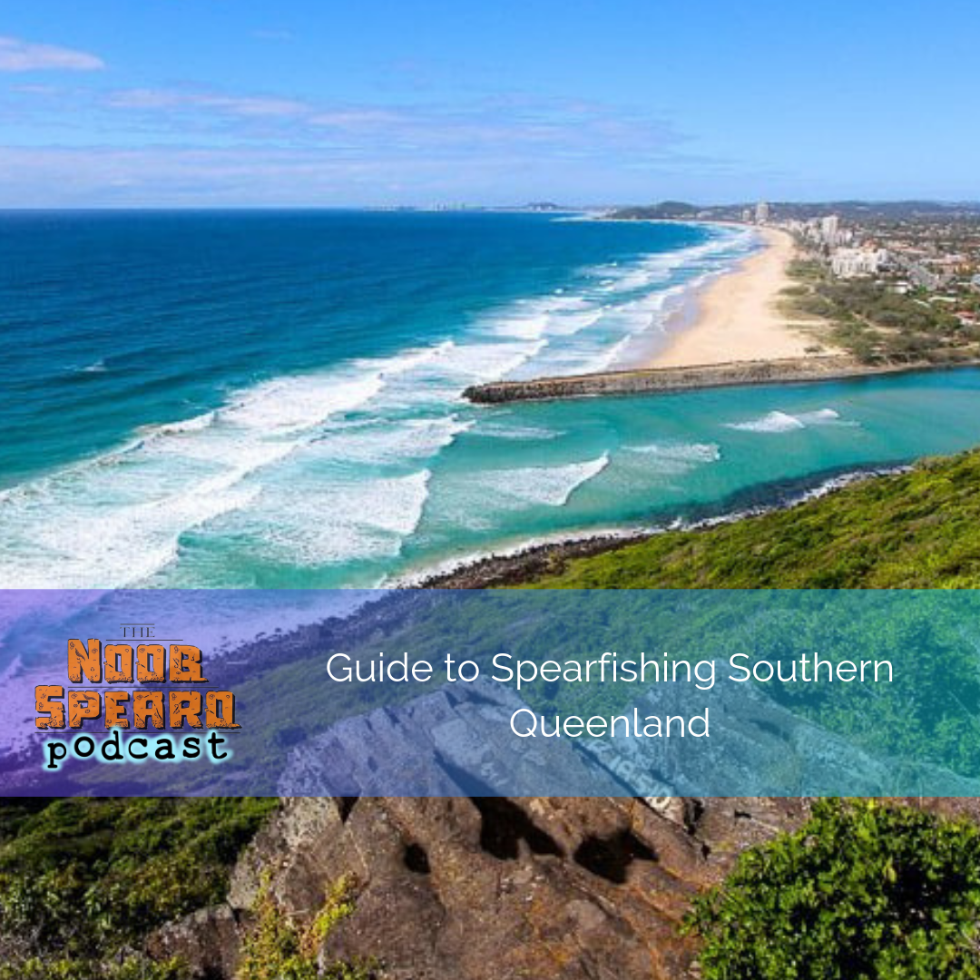 NSP:103 Guide to Spearfishing Southern Queensland + GoPro Accessories