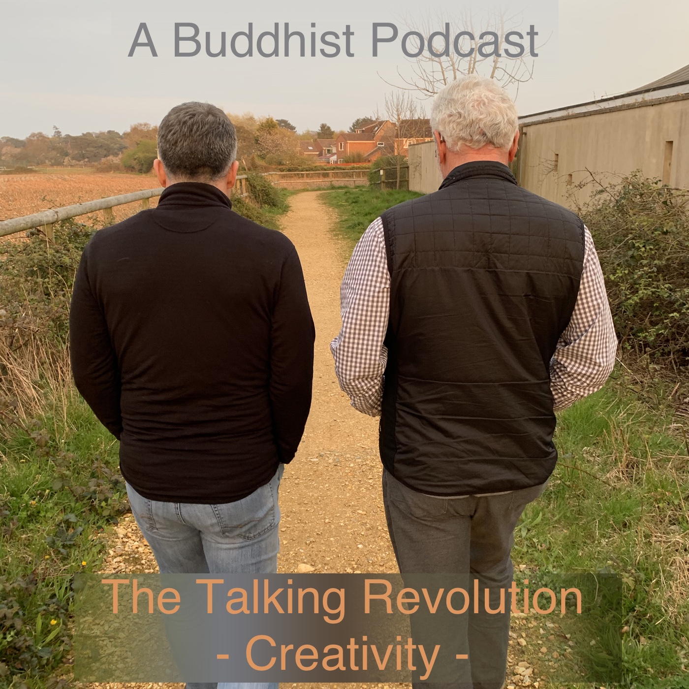 cover of episode A Buddhist Podcast - The Talking Revolution - Creativity
