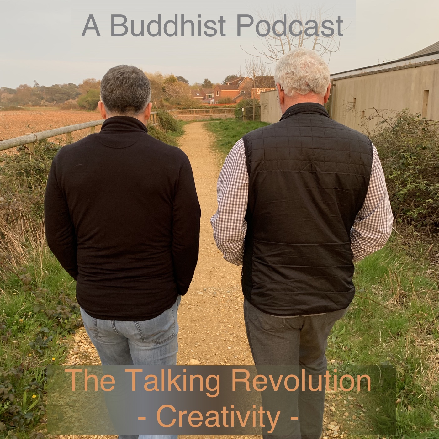 A Buddhist Podcast - The Talking Revolution - Creativity