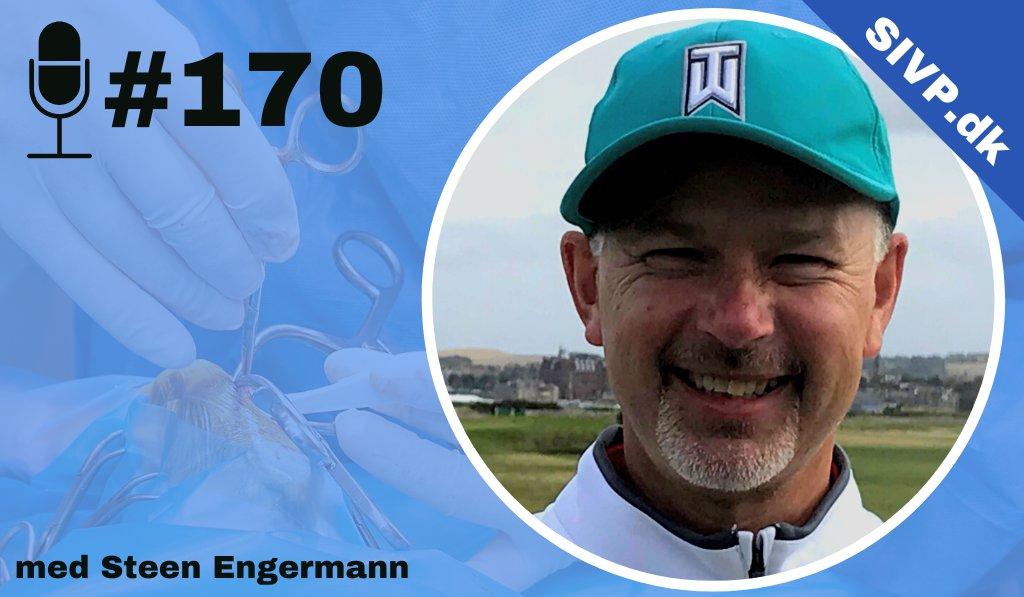 cover of episode SIVP170: Elektrokemoterapi mod cancer hos hund med Steen Engermann