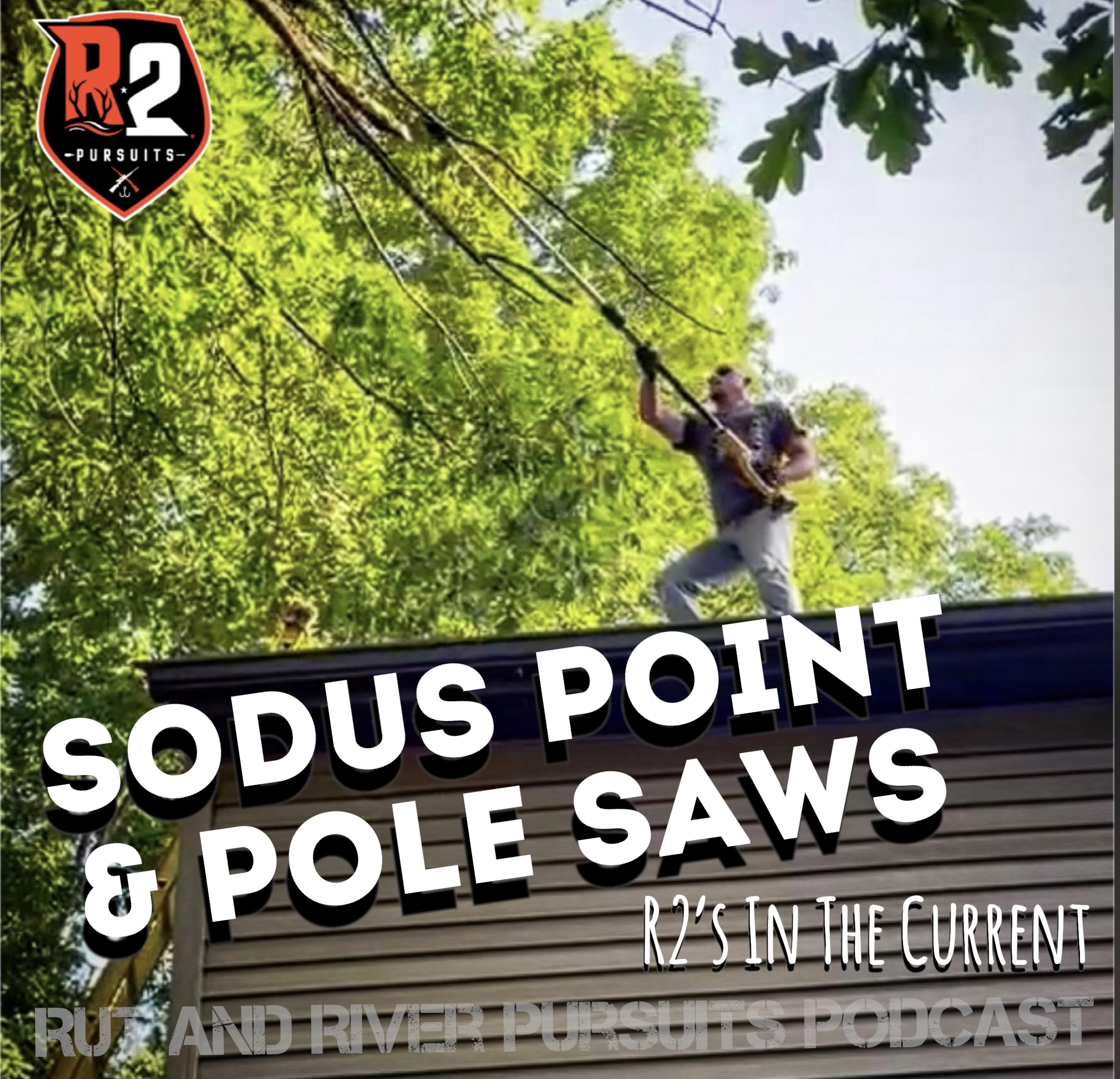 Sodus Point and Pole saws - R2's In The Current