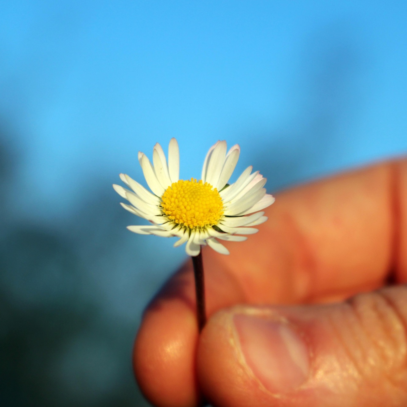 317 – Keizan's Denkoroku Chapter 1: Mahakashyapa's Smile