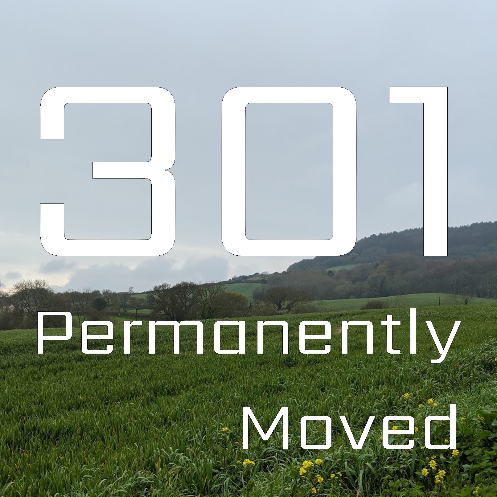 Permanently Moved