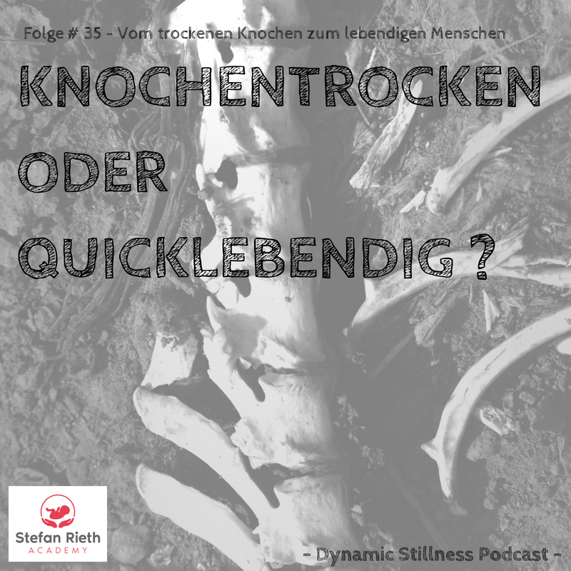 Stefan Rieth Podcast  - Einblicke in Neurozentrierte neuroaffektive Berührung