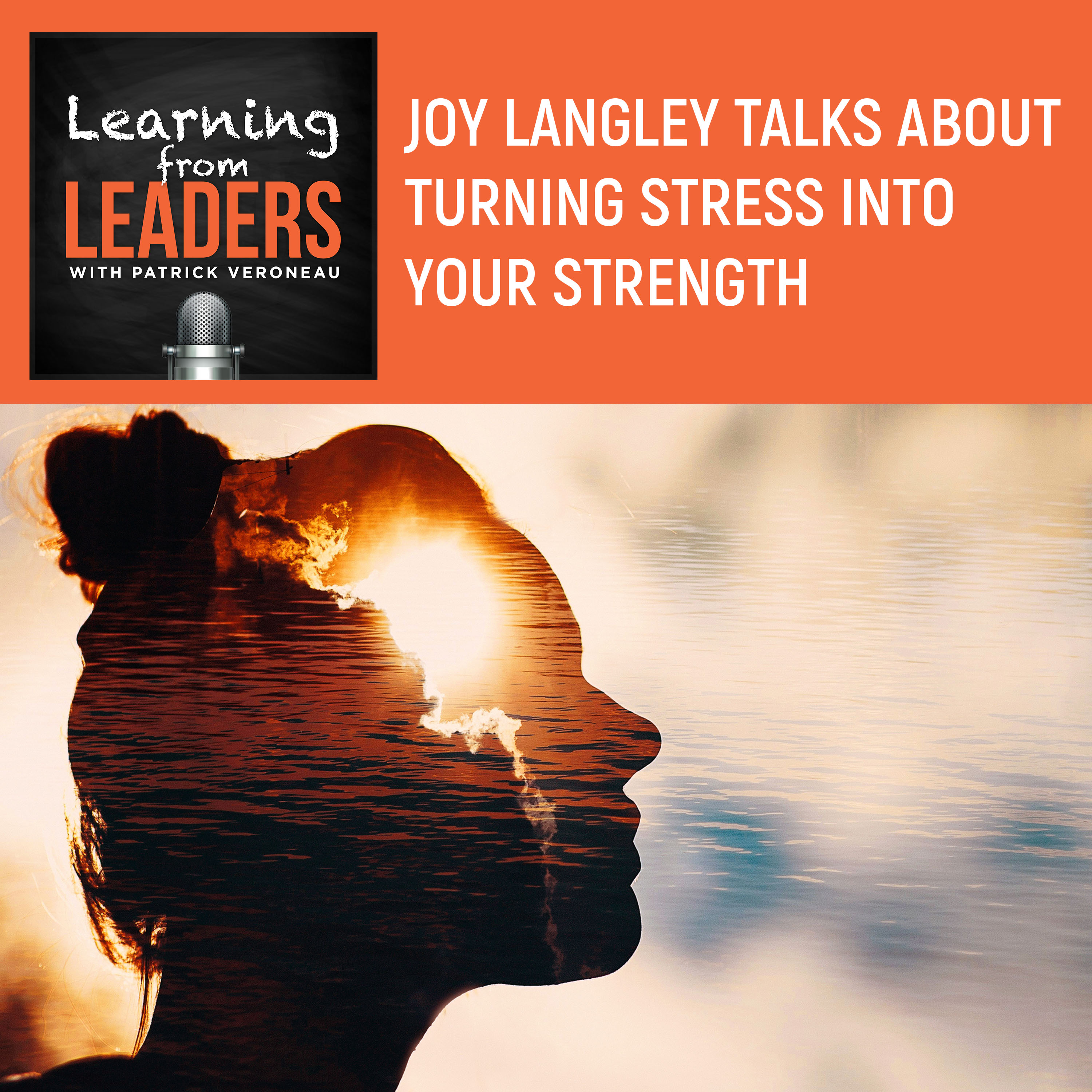 Learning from Leaders: Because Leaders are Learners